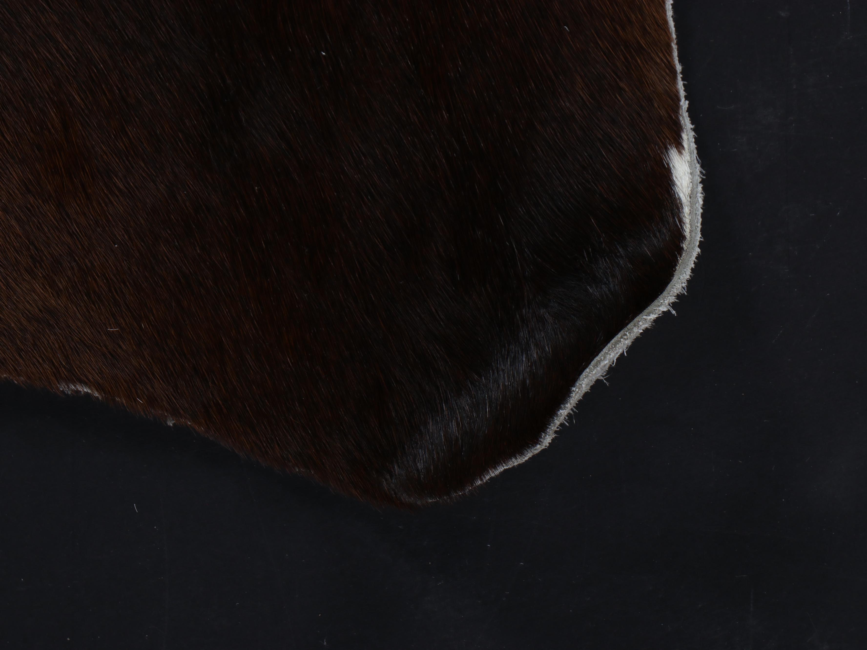 6'11 x 7'8 Cowhide Area Rug