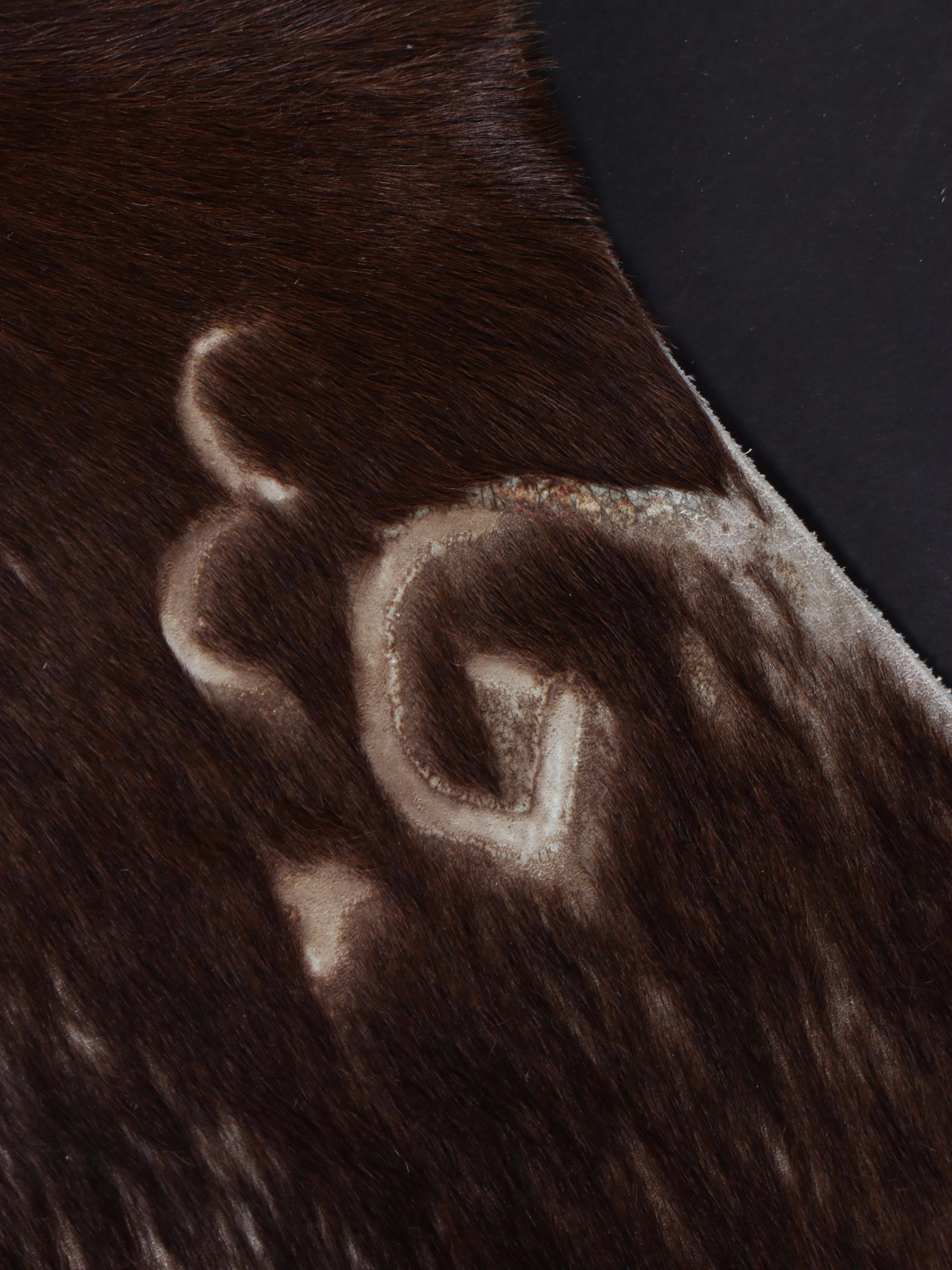 6'11 x 7'8 Cowhide Area Rug