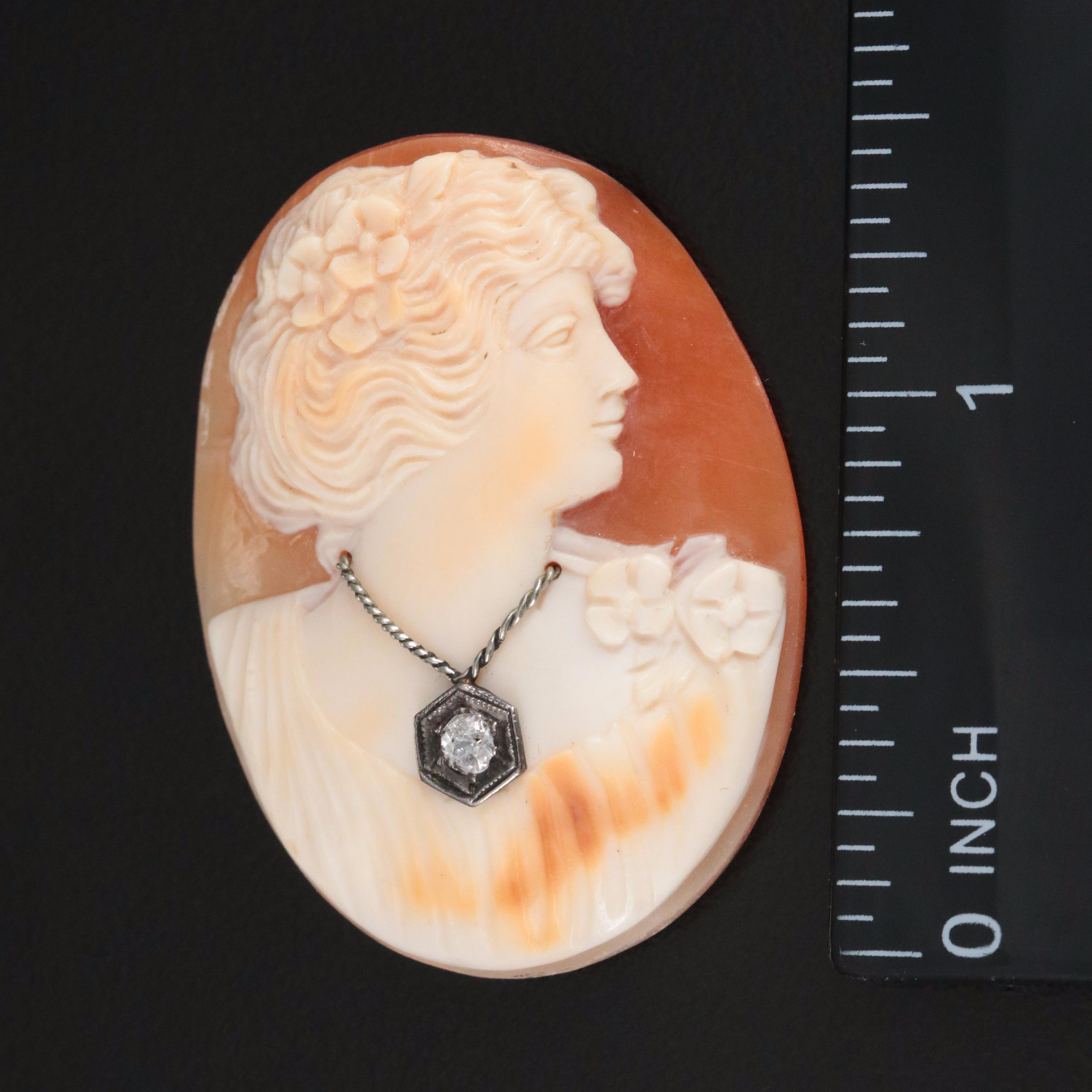 Loose Habillé Shell and Diamond Cameo