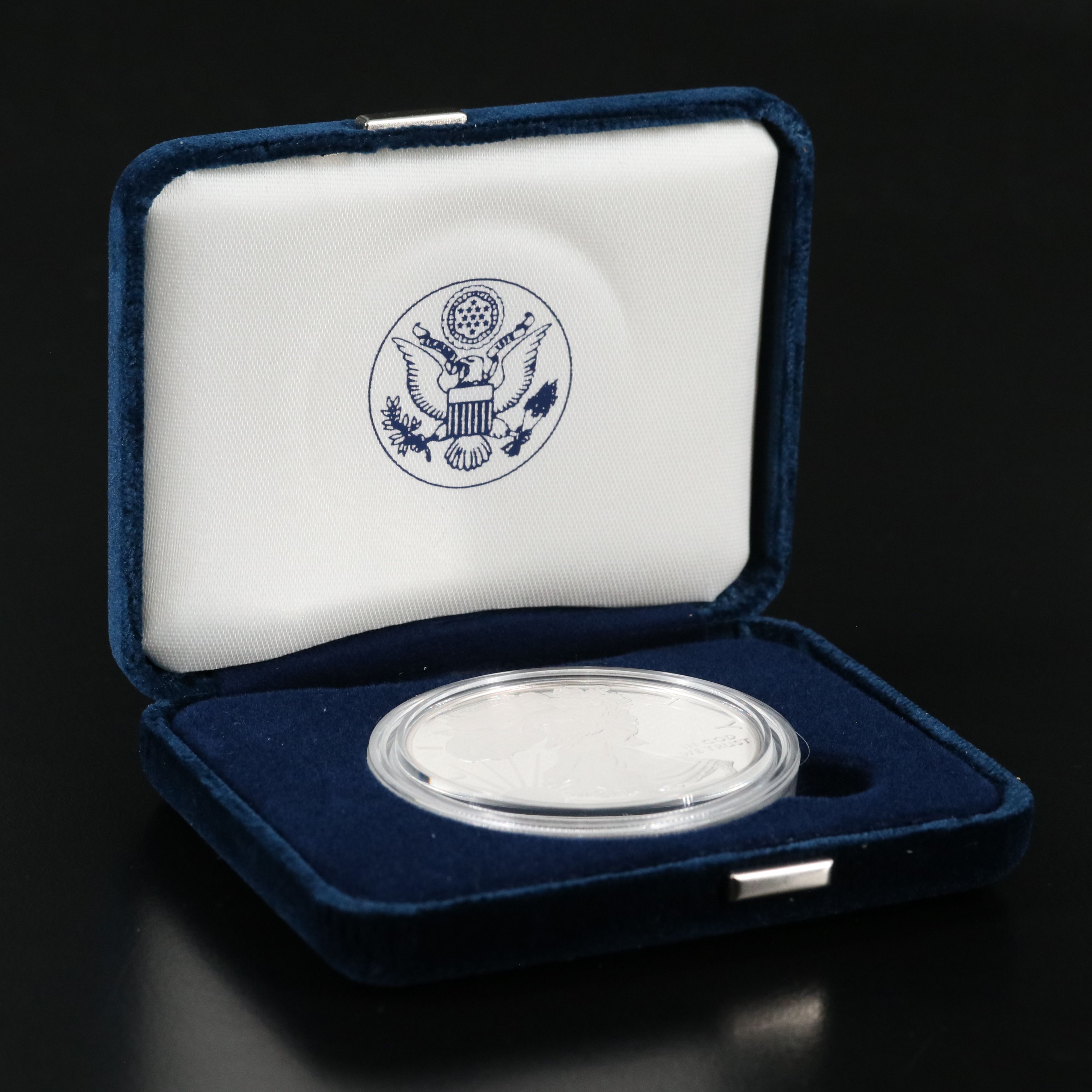 2010-W American Silver Eagle Proof Bullion Coin