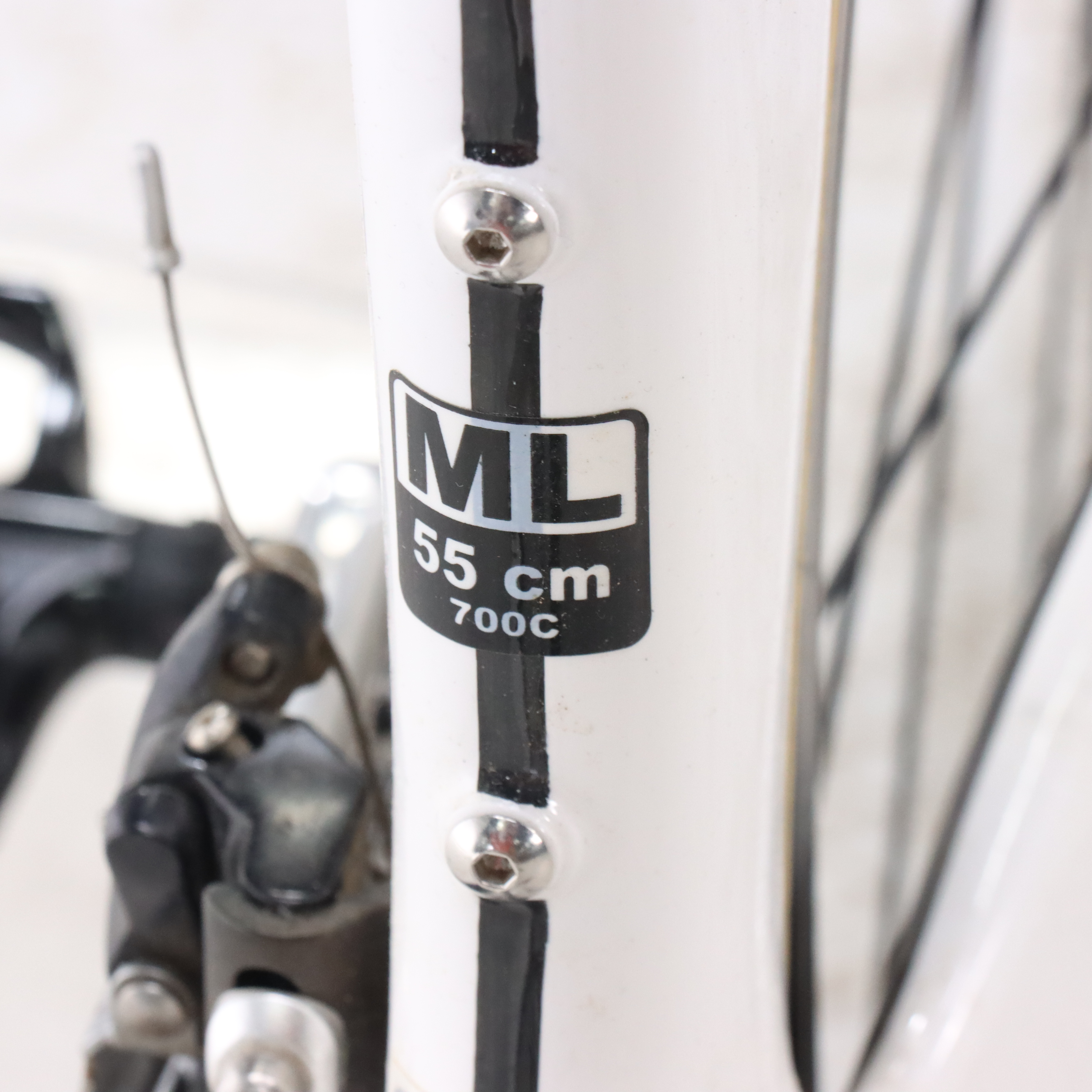 Quintana Roo "Illitcito" Triathlon Bike