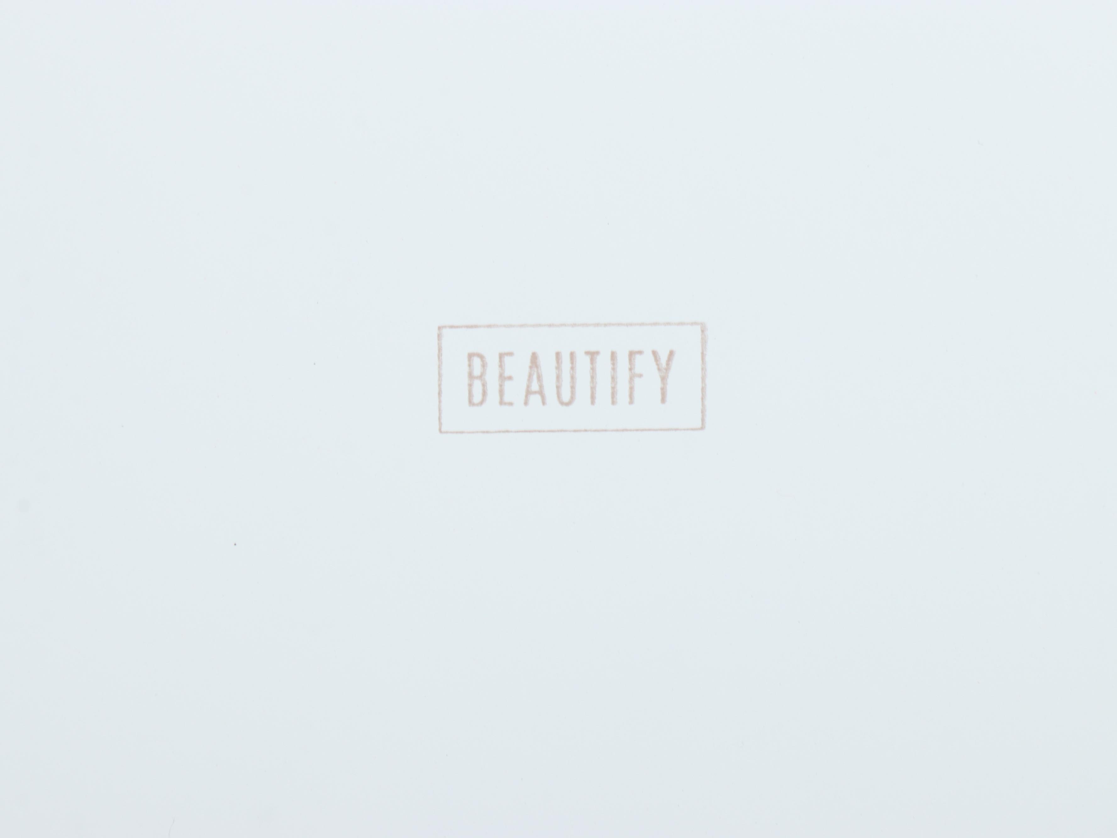 Pair of Beautify White Metal Trunks