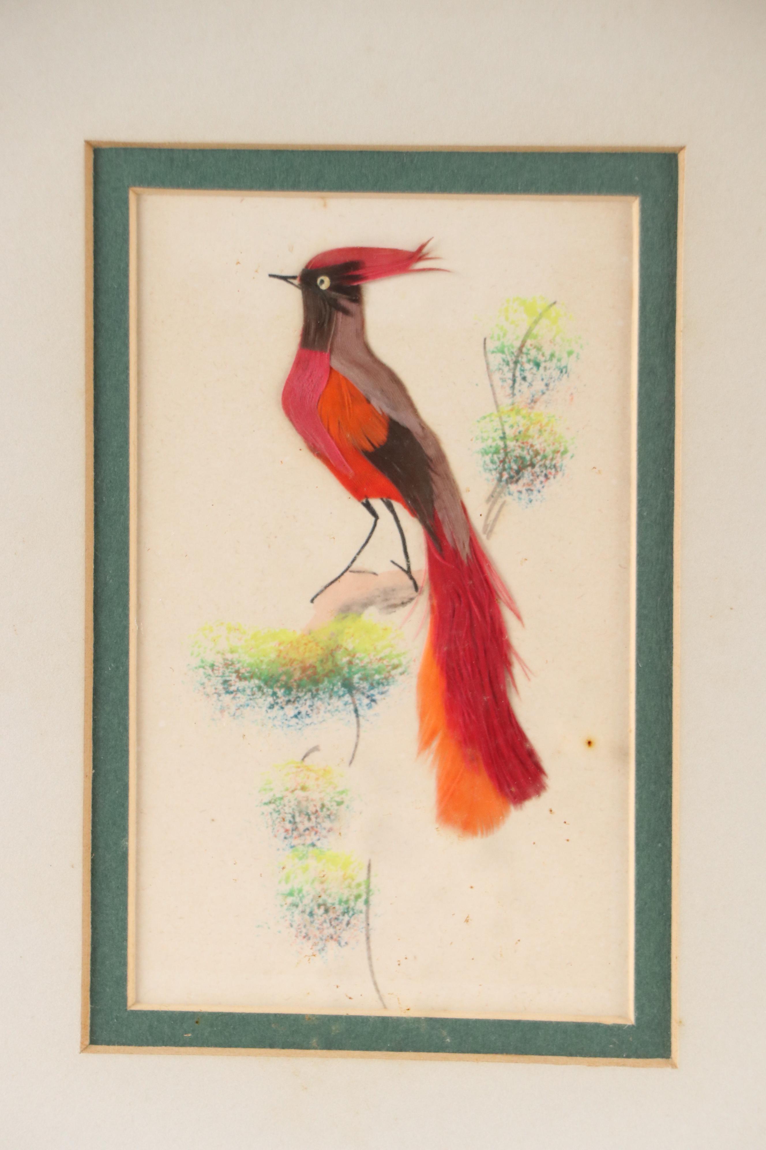 Chinese Feather Craft Collages of Birds
