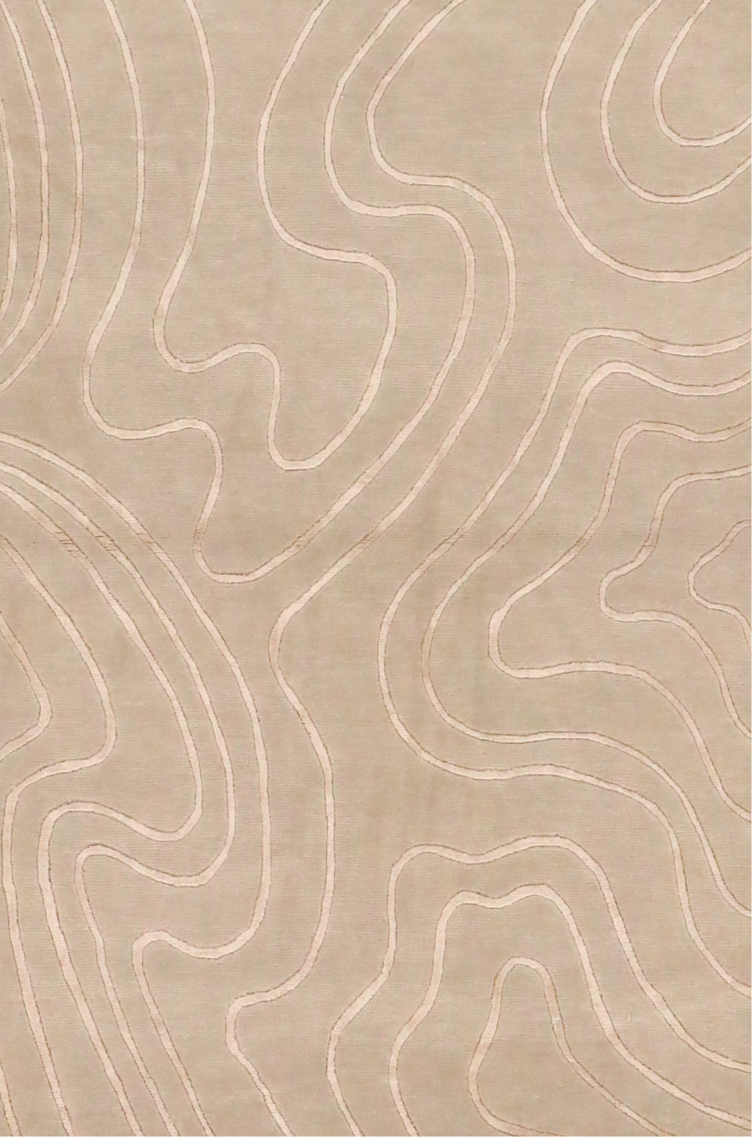 3'9 x 5'7 Hand-Knotted Nepalese Contemporary Area Rug