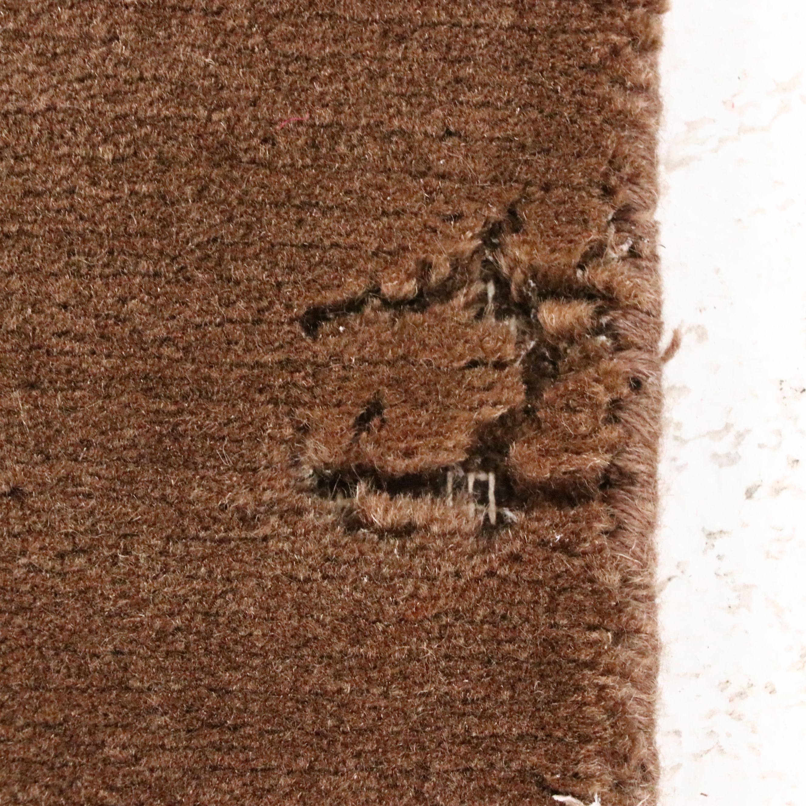 3'6 x 5'4 Hand-Knotted Momeni Area Rug