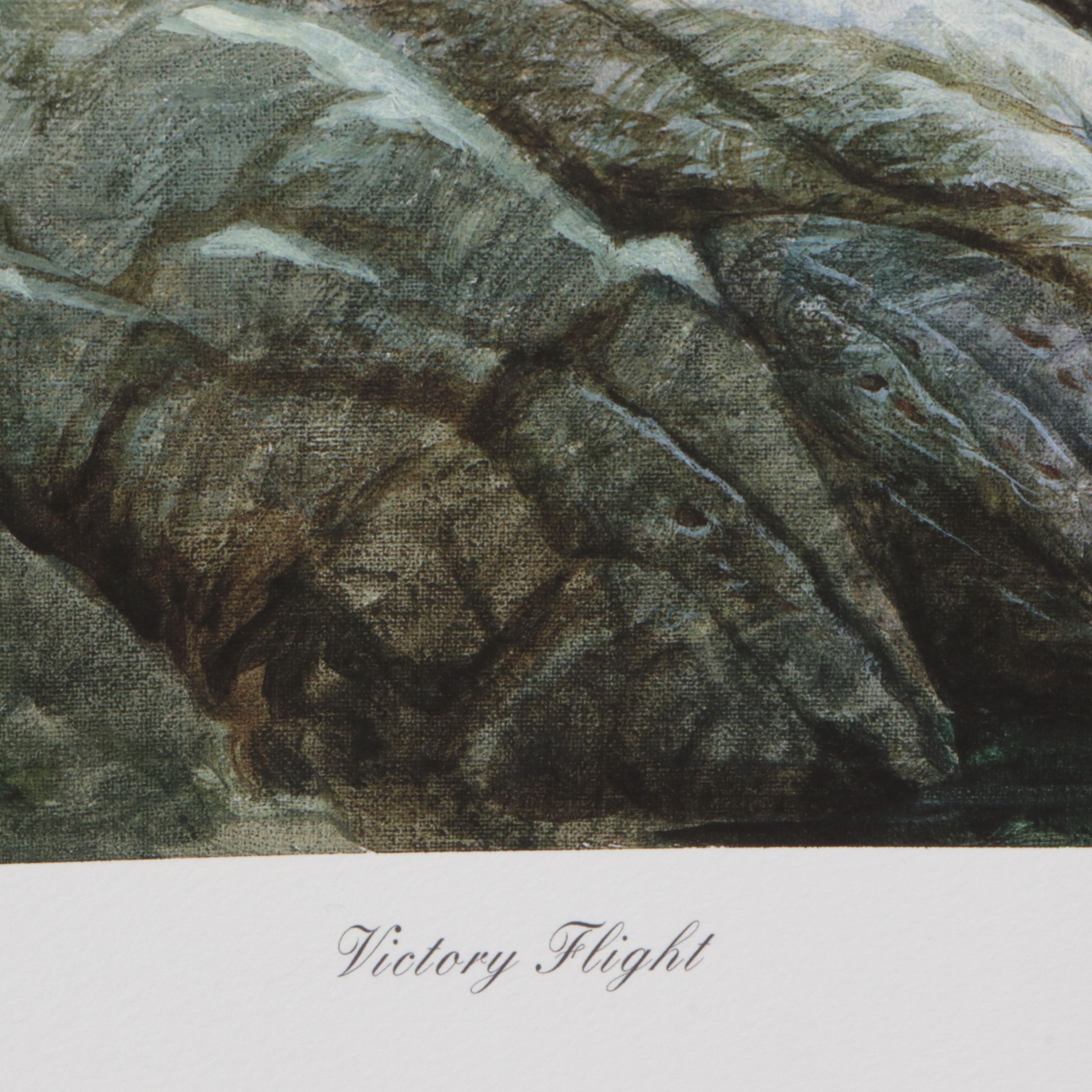 John Ruthven "Victory Flight" Giclée on Paper, 2006