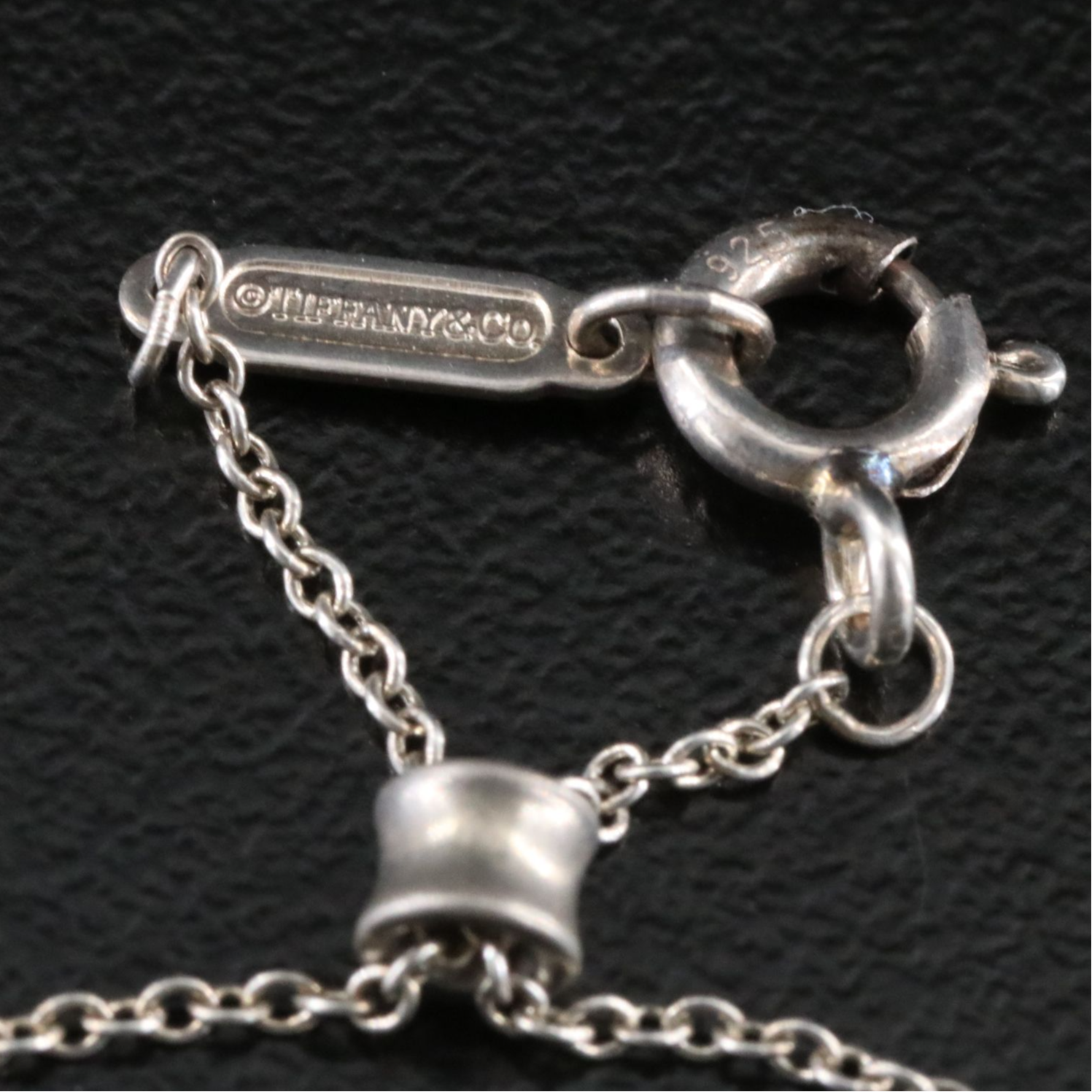 Tiffany & Co.  1837 Sterling Interlocking Circles Necklace