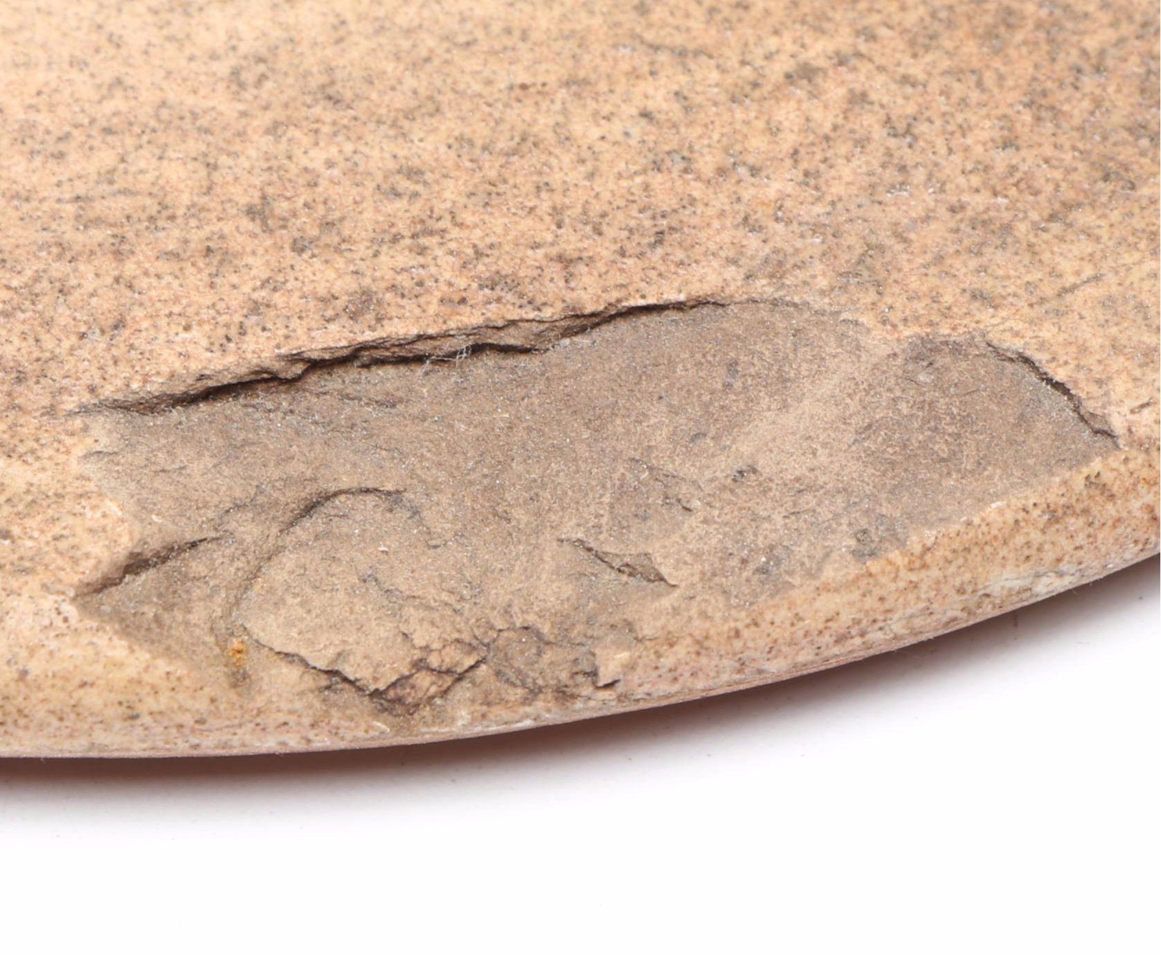 Lehman & Riedinger with Other Stoneware Crock, Mid to Late 19th Century