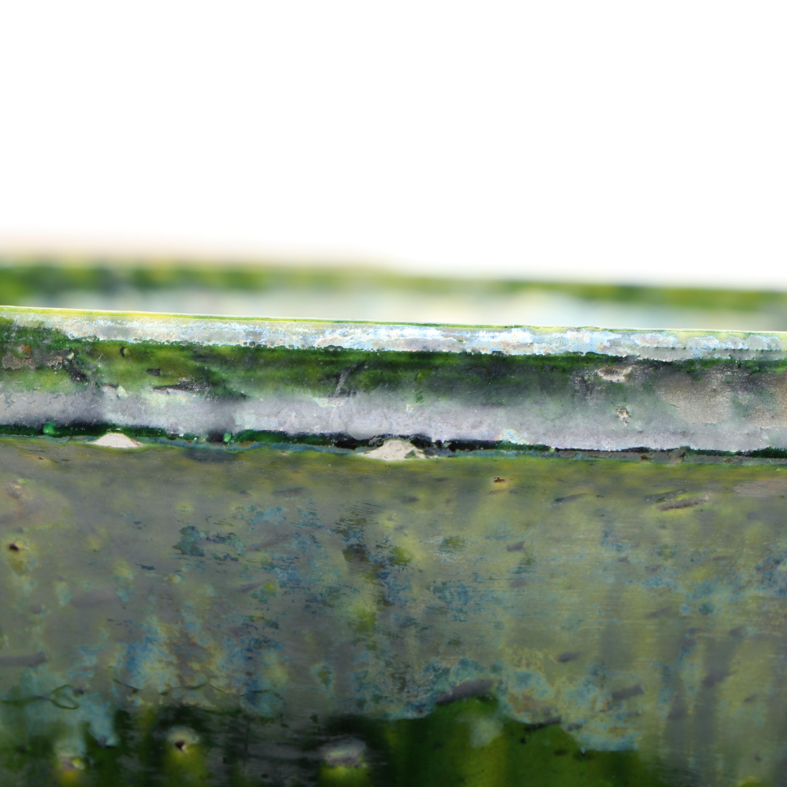 Wedgwood Dye Ken John Peel Hunt and Prattware Peacock Jugs with Other Decor