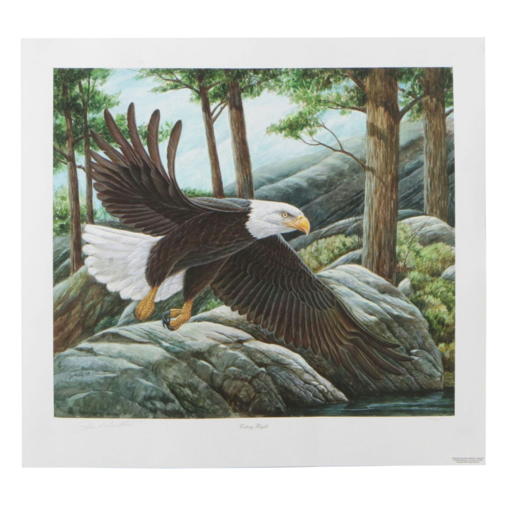 John Ruthven "Victory Flight" Giclée on Paper, 2006