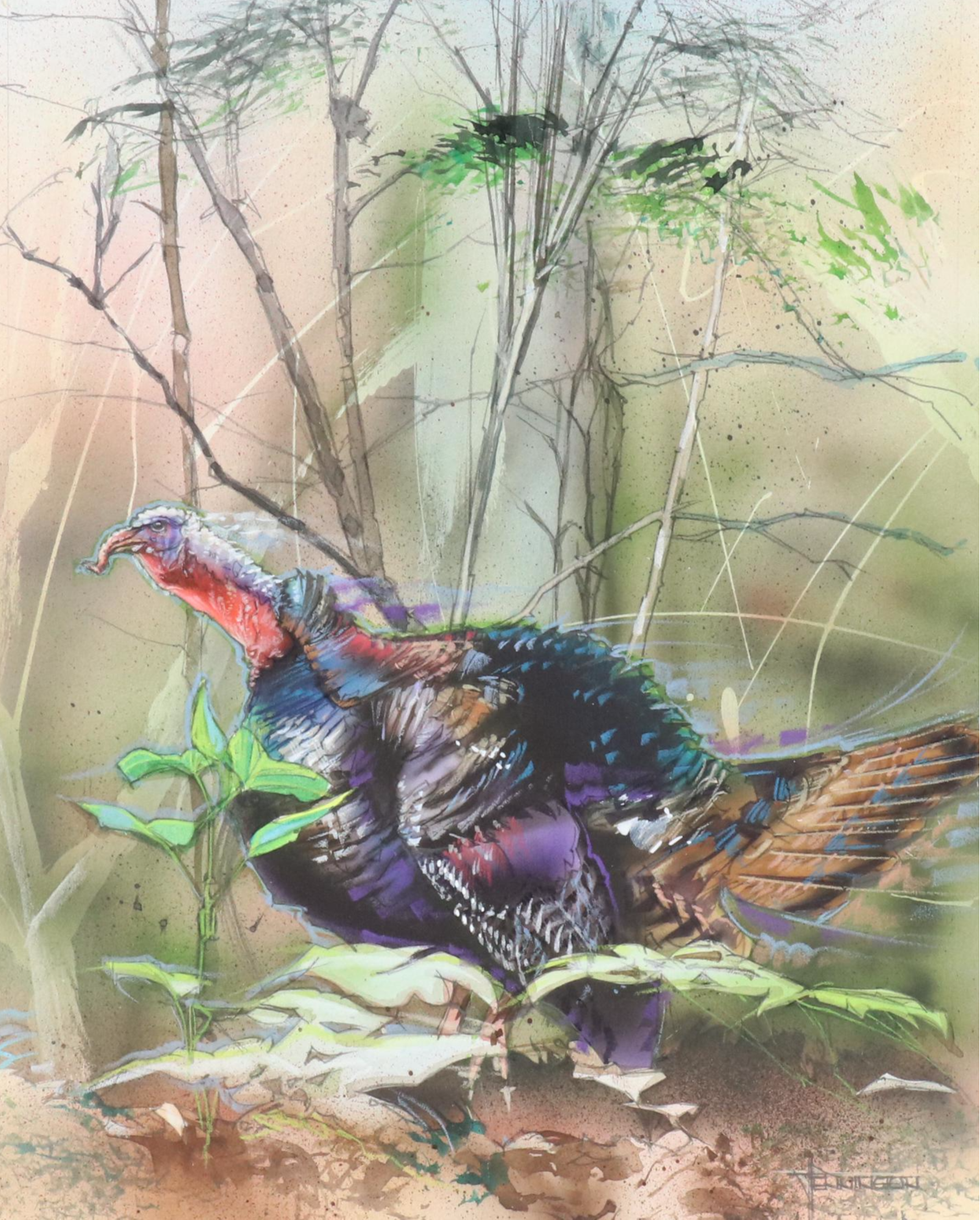 Jack Pennington Mixed Media Illustration of Wild Turkey