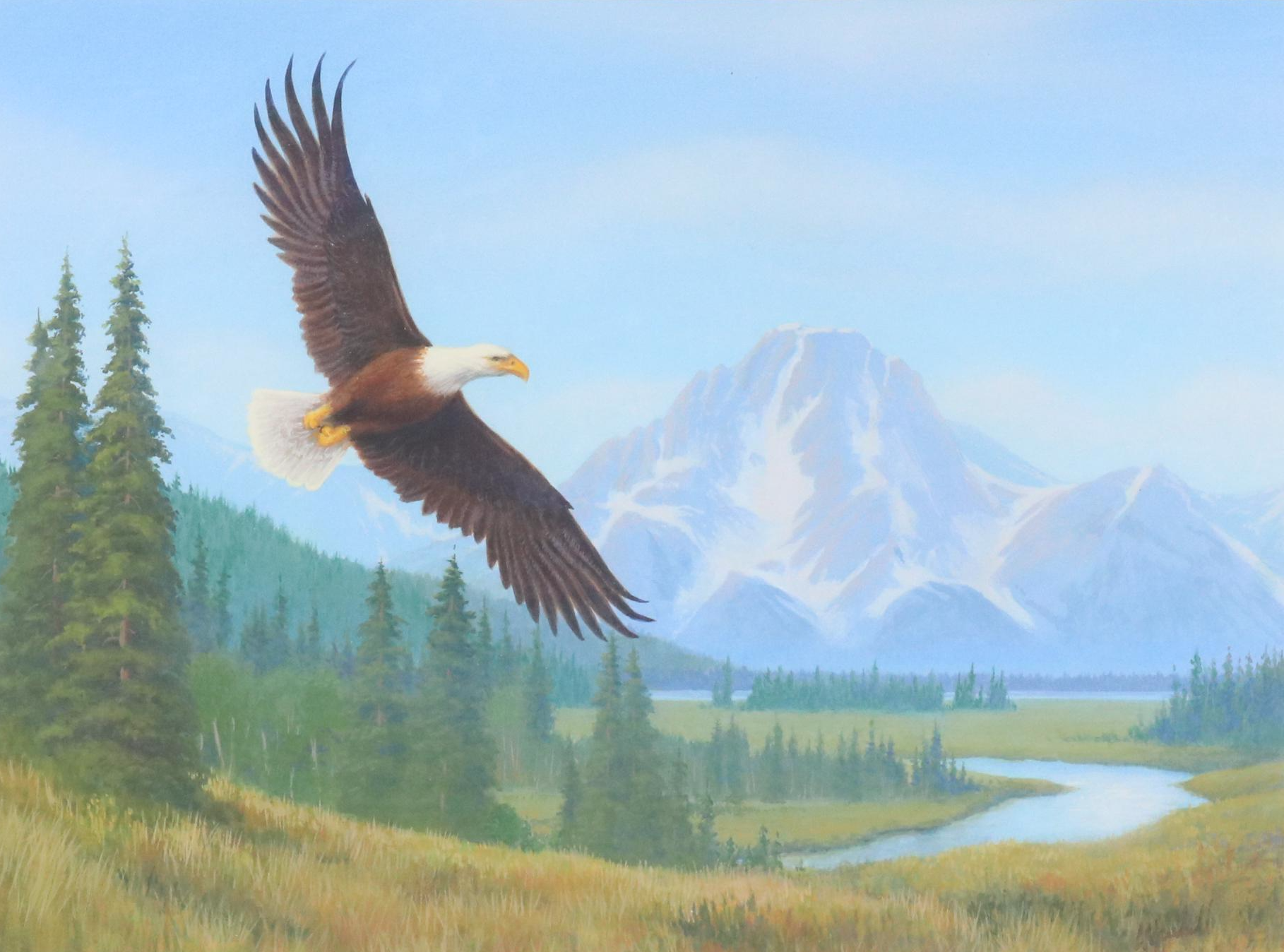Chuck Marshall Gouache Illustration of Soaring Bald Eagle