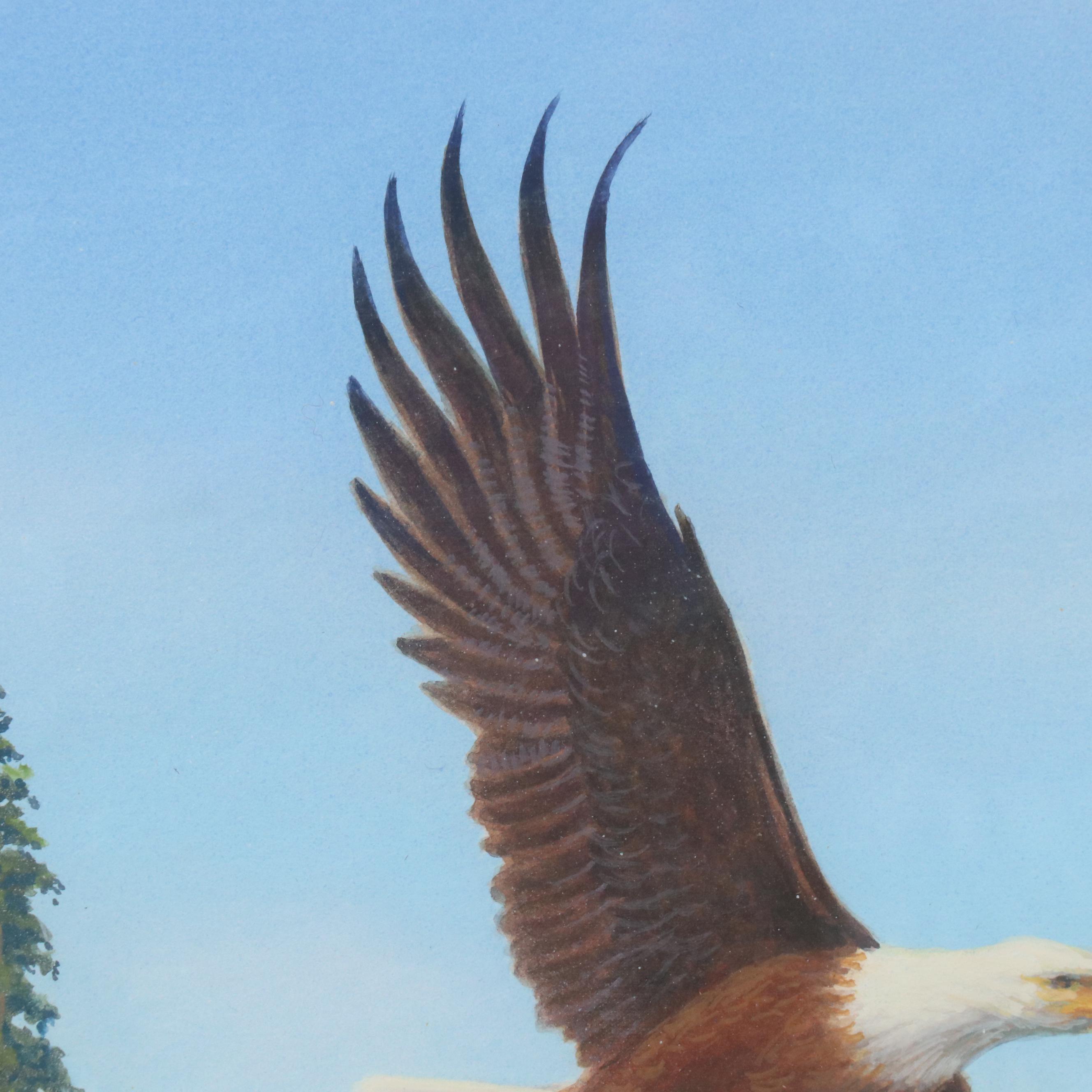 Chuck Marshall Gouache Illustration of Soaring Bald Eagle