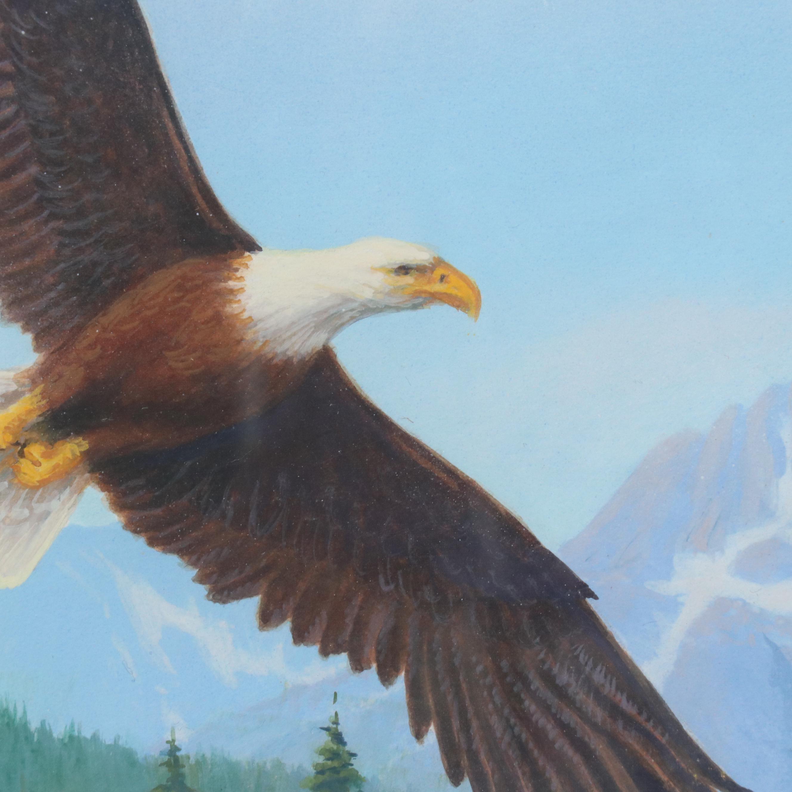 Chuck Marshall Gouache Illustration of Soaring Bald Eagle