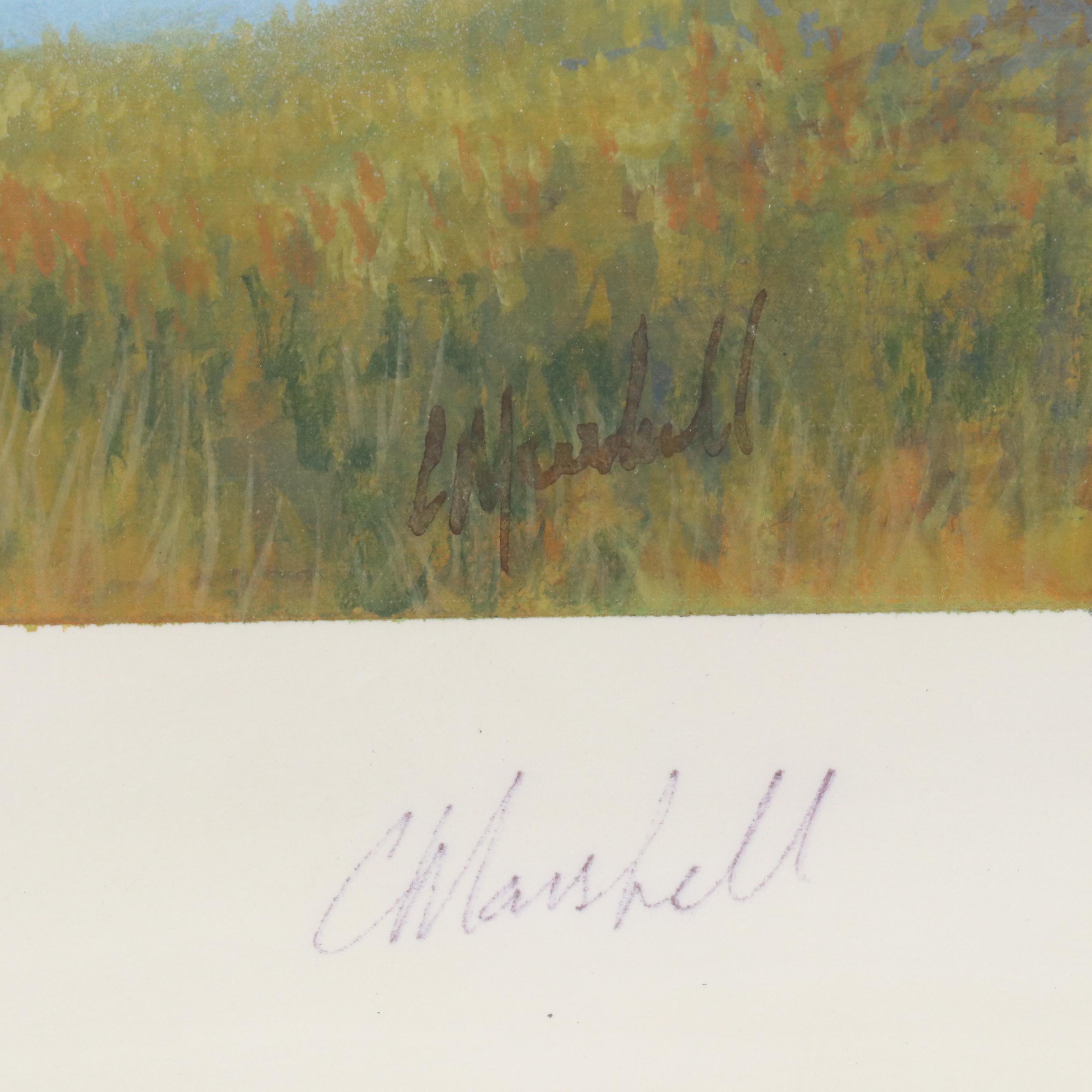 Chuck Marshall Gouache Illustration of Soaring Bald Eagle