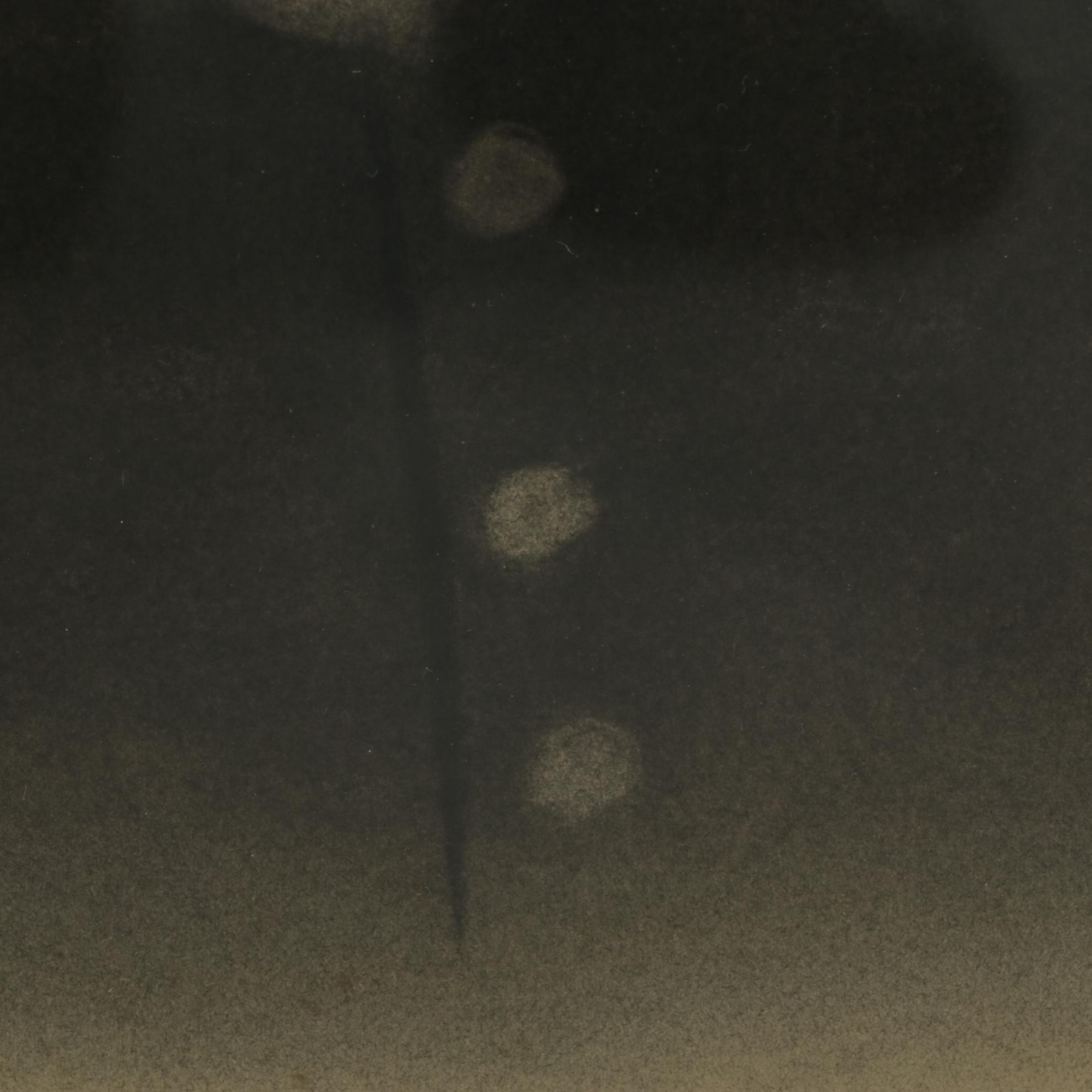 Crayon Portraits of Elderly Man and Woman, Mid to Late 19th Century