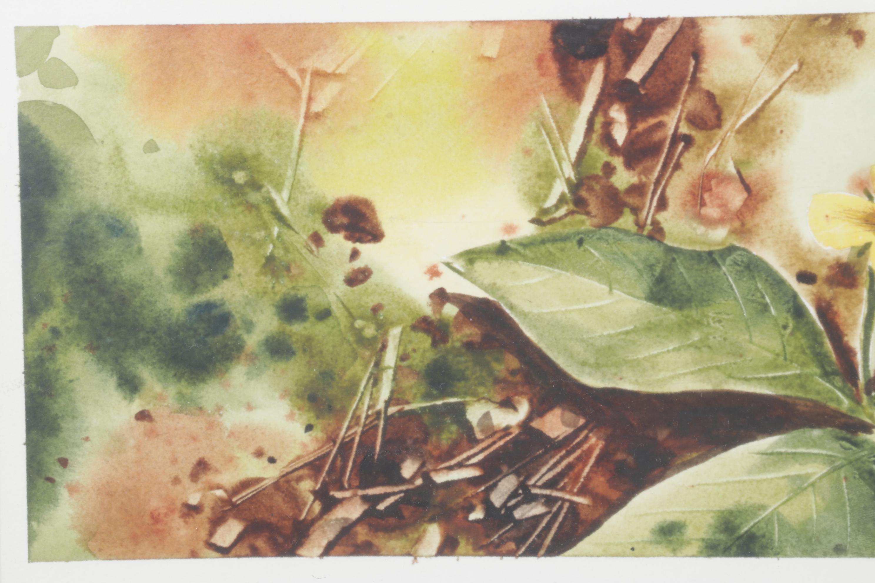 Lockyer Earth-Toned Botanical Watercolor Painting of Golden Wildflowers, 1978