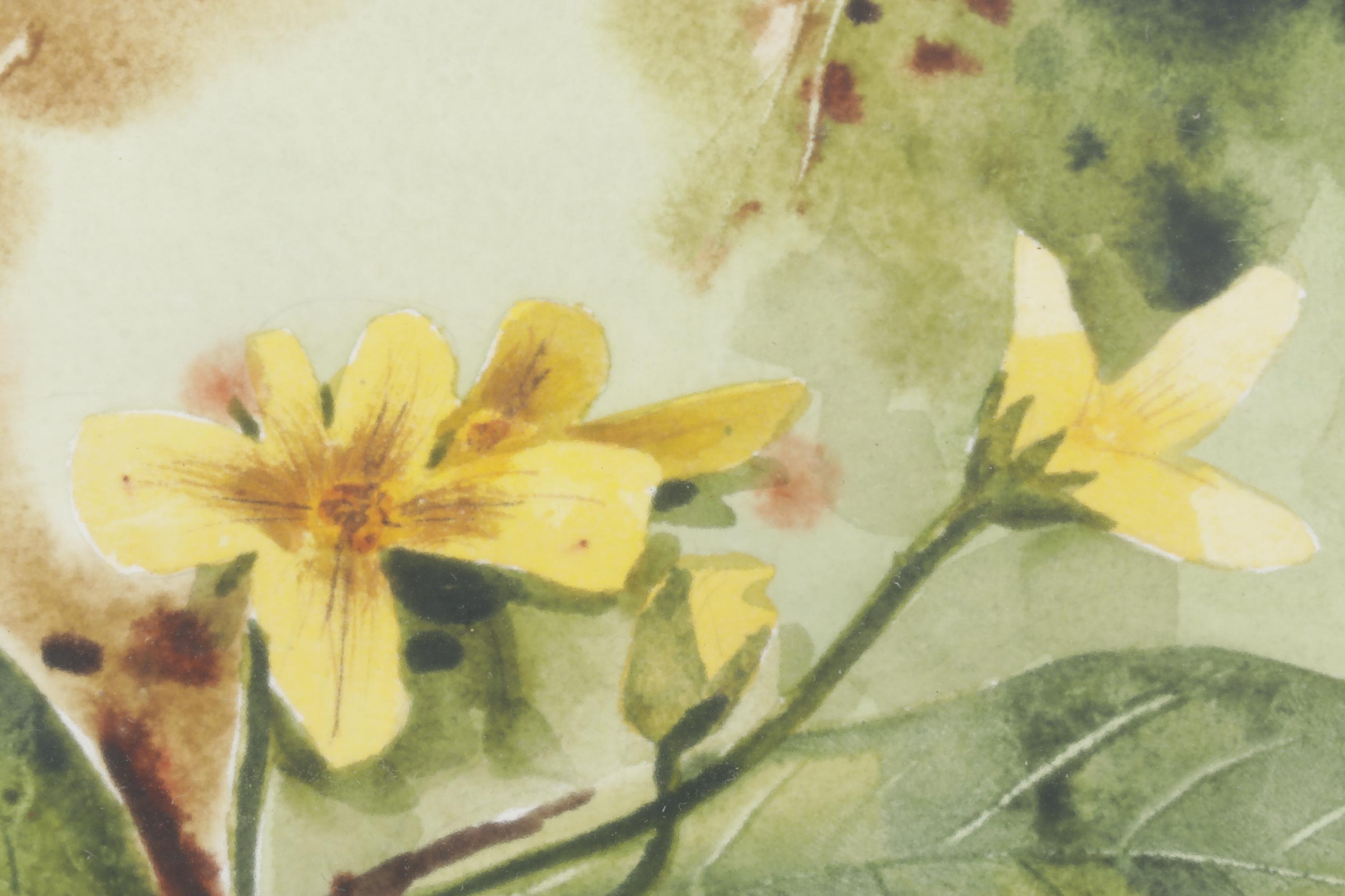 Lockyer Earth-Toned Botanical Watercolor Painting of Golden Wildflowers, 1978