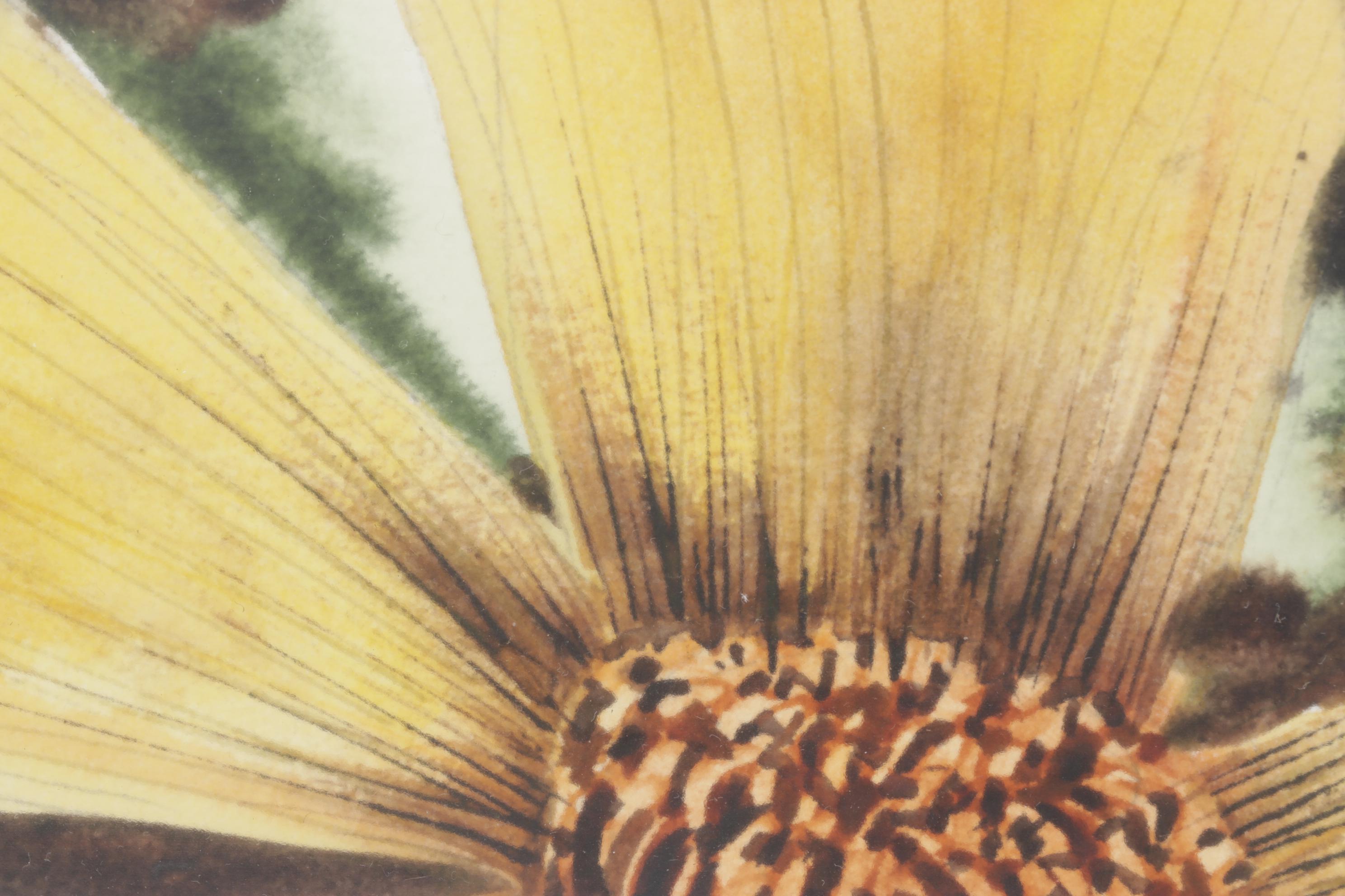 Lockyer Earth-Toned Botanical Watercolor Painting of Golden Wildflowers, 1978