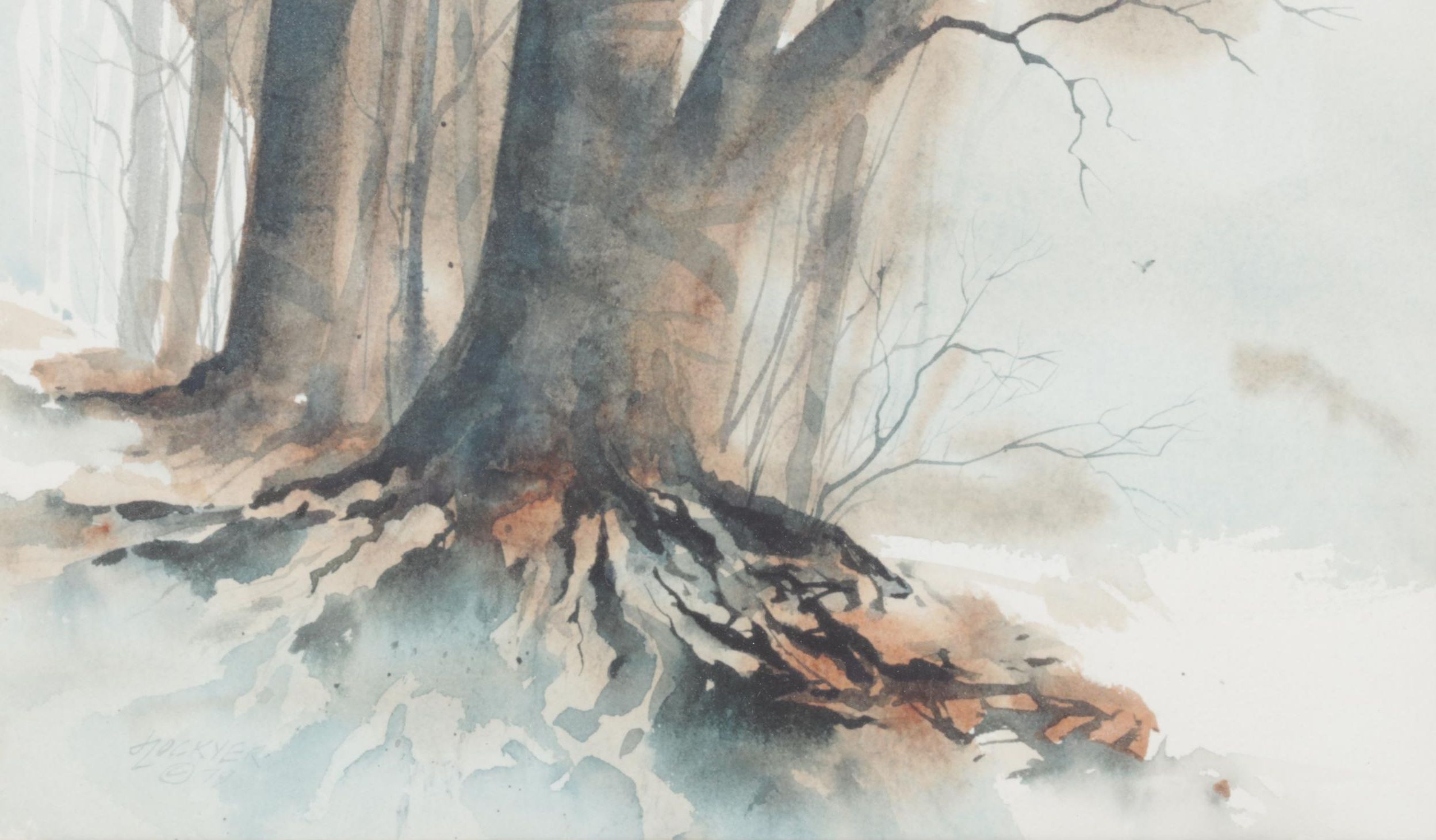 Lockyer Cool-Toned Watercolor Painting of Tree Roots in Winter Forest Landscape