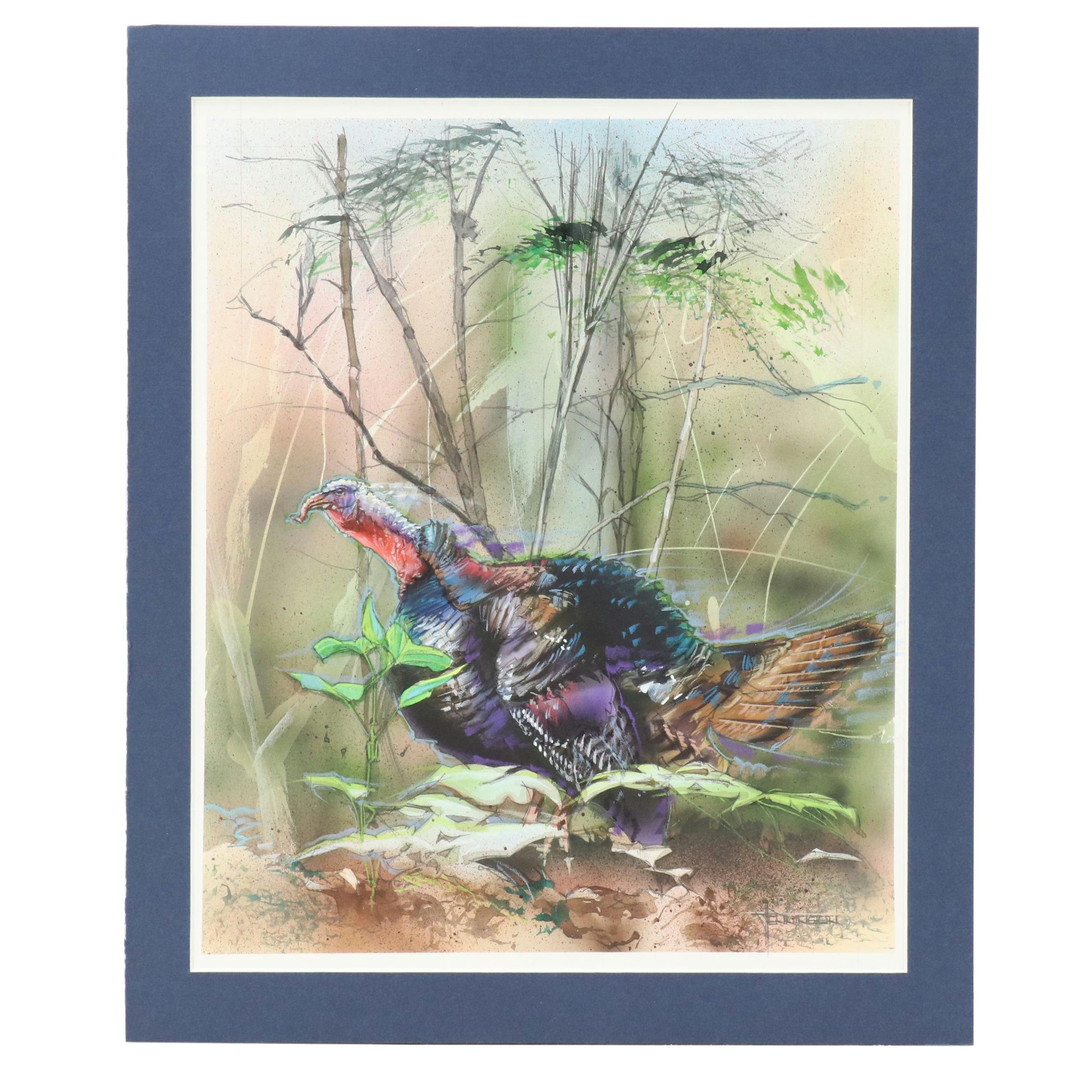 Jack Pennington Mixed Media Illustration of Wild Turkey