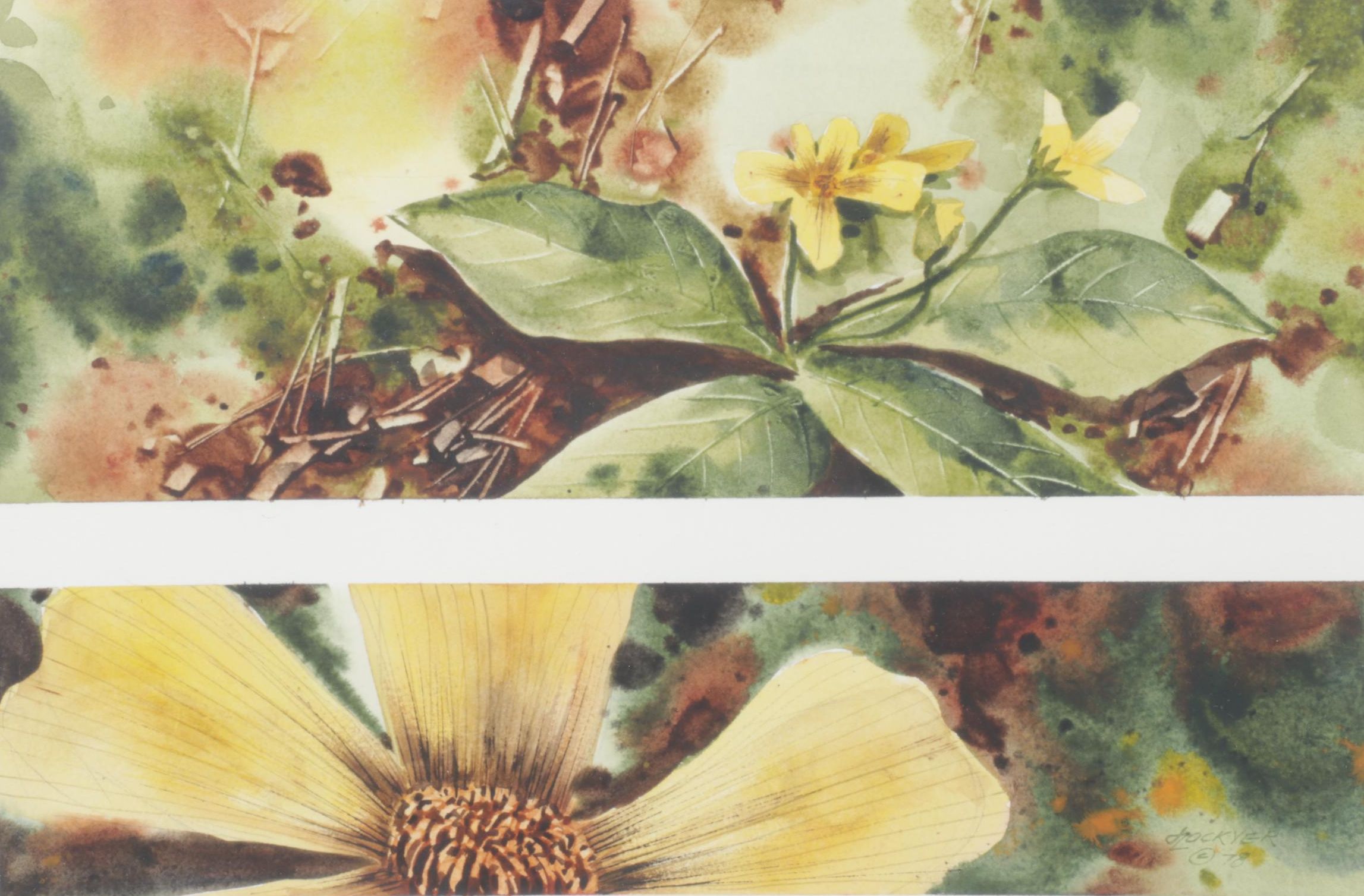 Lockyer Earth-Toned Botanical Watercolor Painting of Golden Wildflowers, 1978
