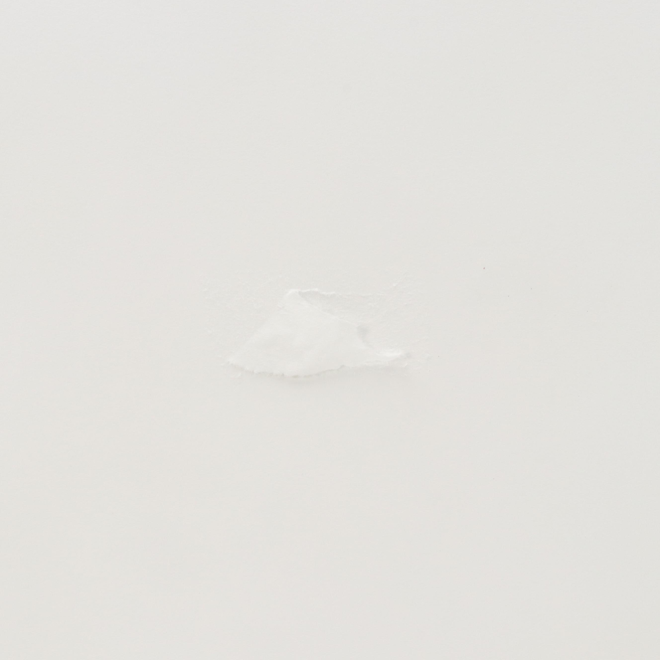 James Kevin Torline Giclée "Bengal Tiger in the Jungle," 2006