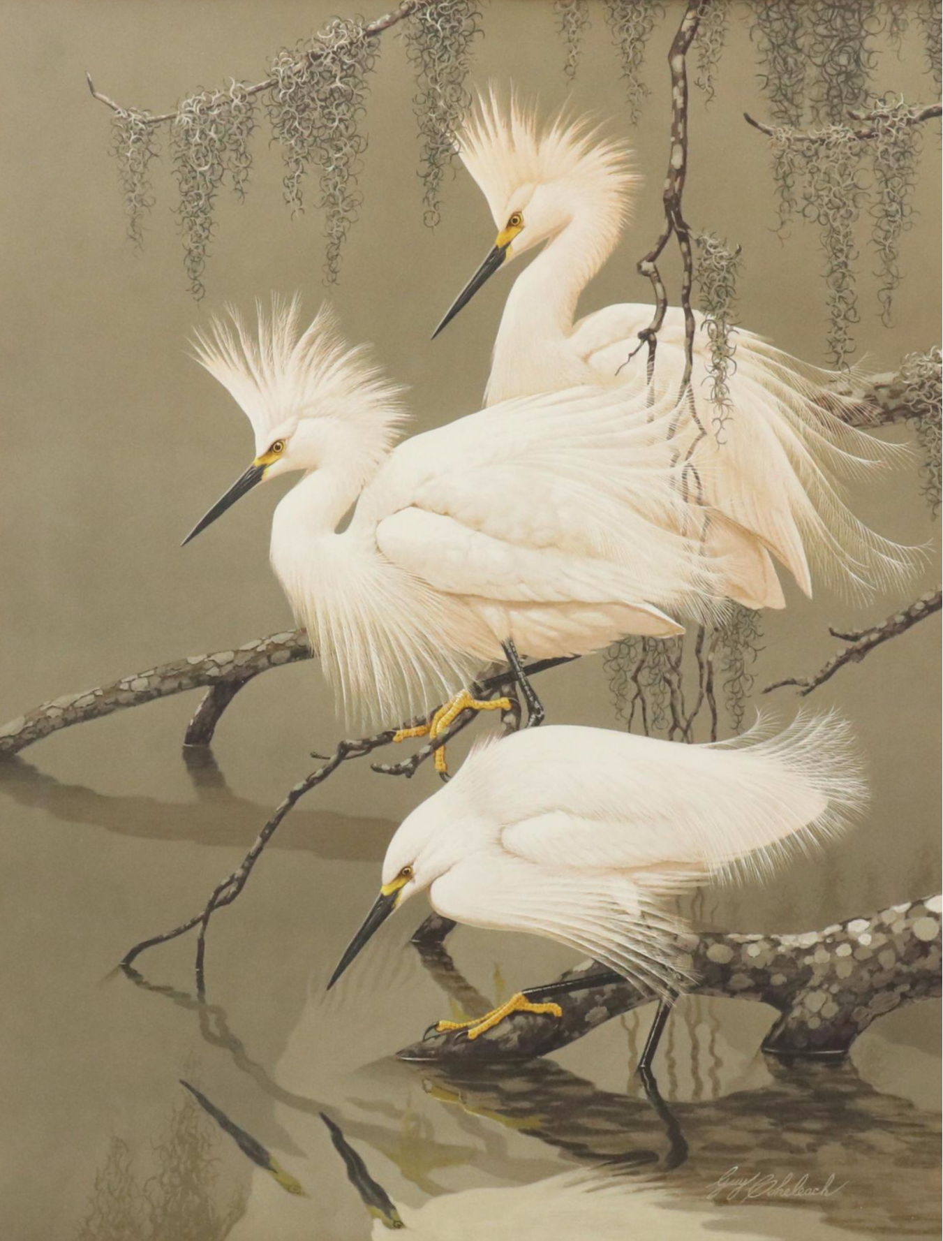 Guy Coheleach Offset Lithograph "Snowy Egret"
