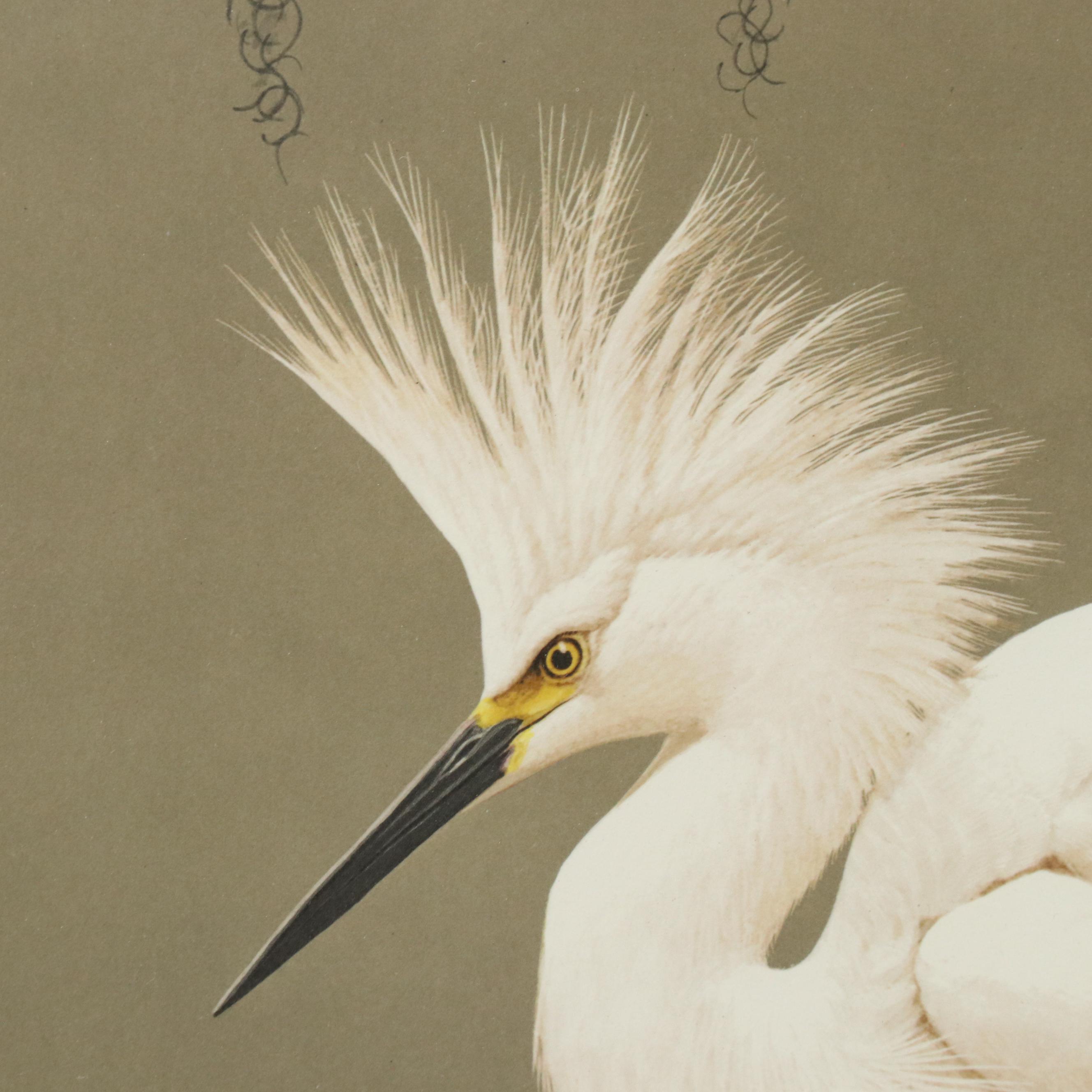 Guy Coheleach Offset Lithograph "Snowy Egret"