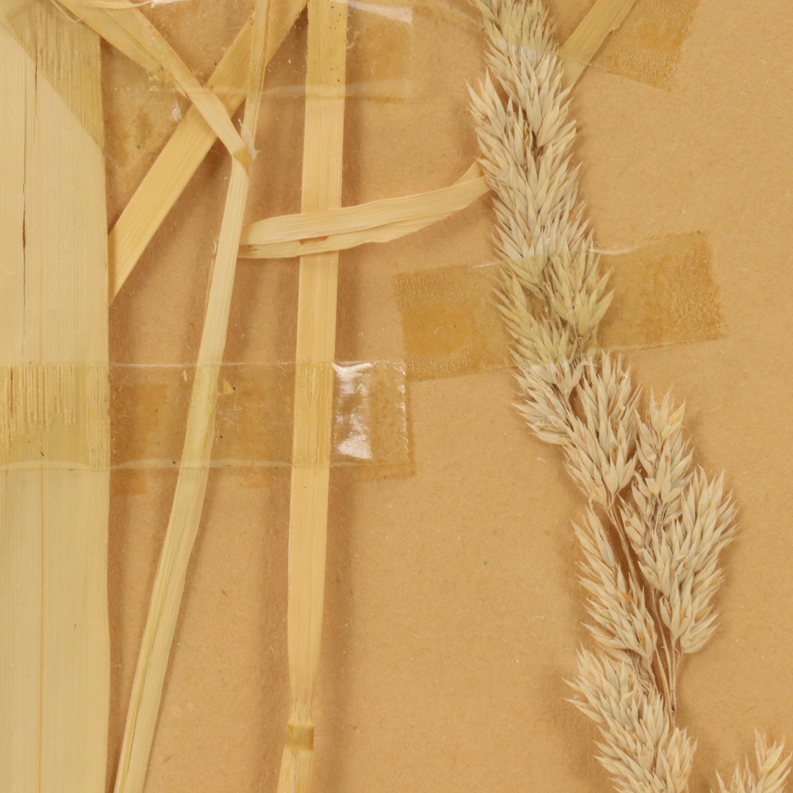 German Herbarium Specimens of Mountain Ash and More, 1920s and 1953