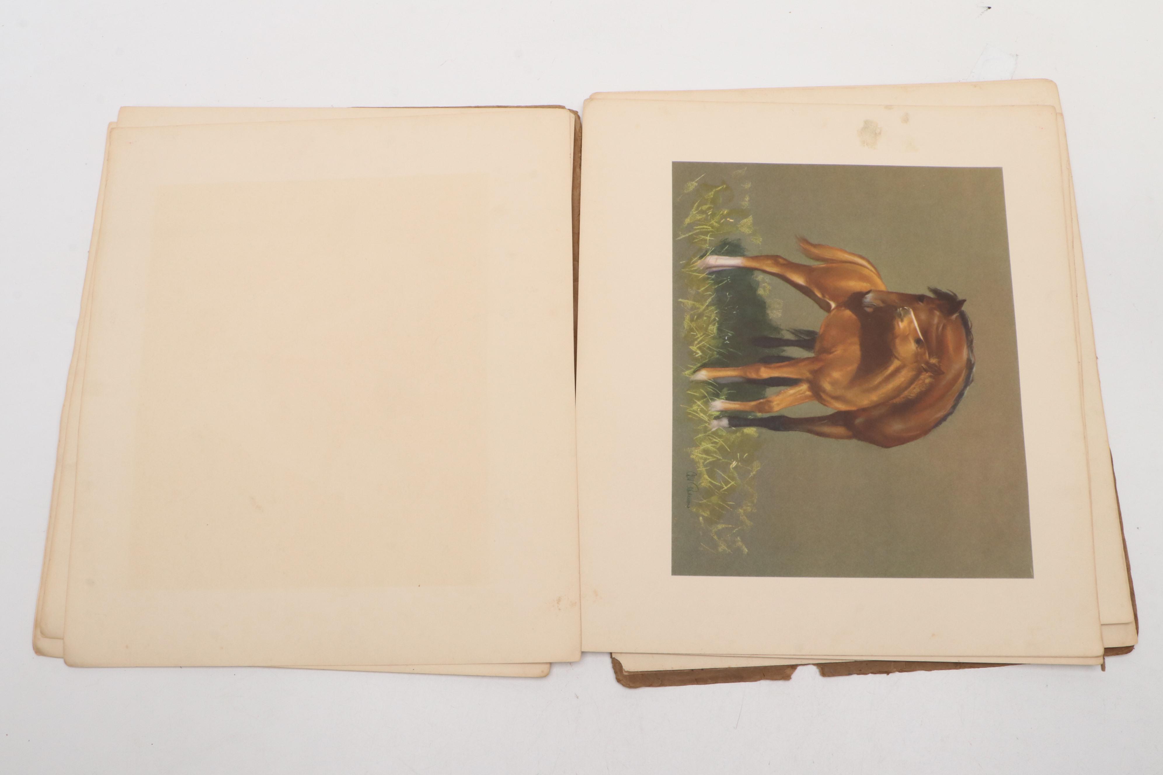 "Grey, Bay and Chestnut" by C. W. Anderson, 1955