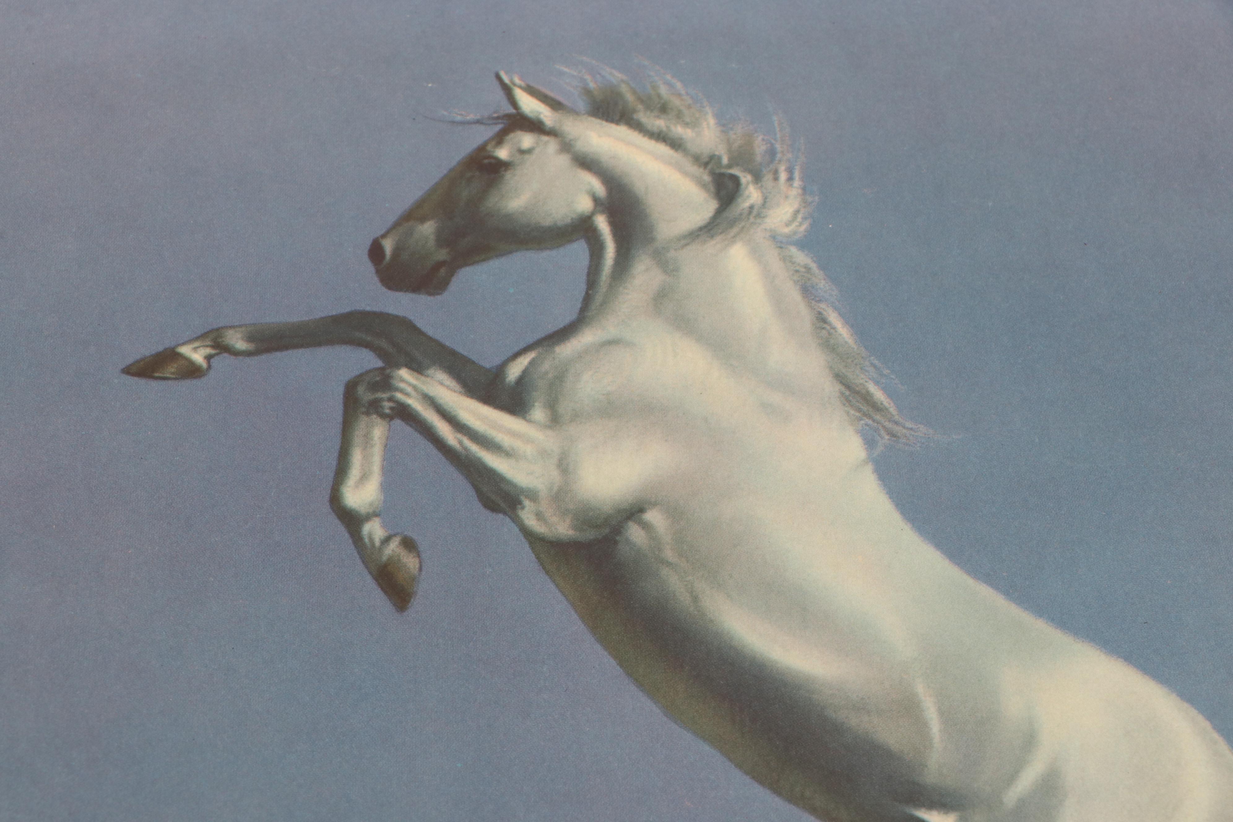 "Grey, Bay and Chestnut" by C. W. Anderson, 1955