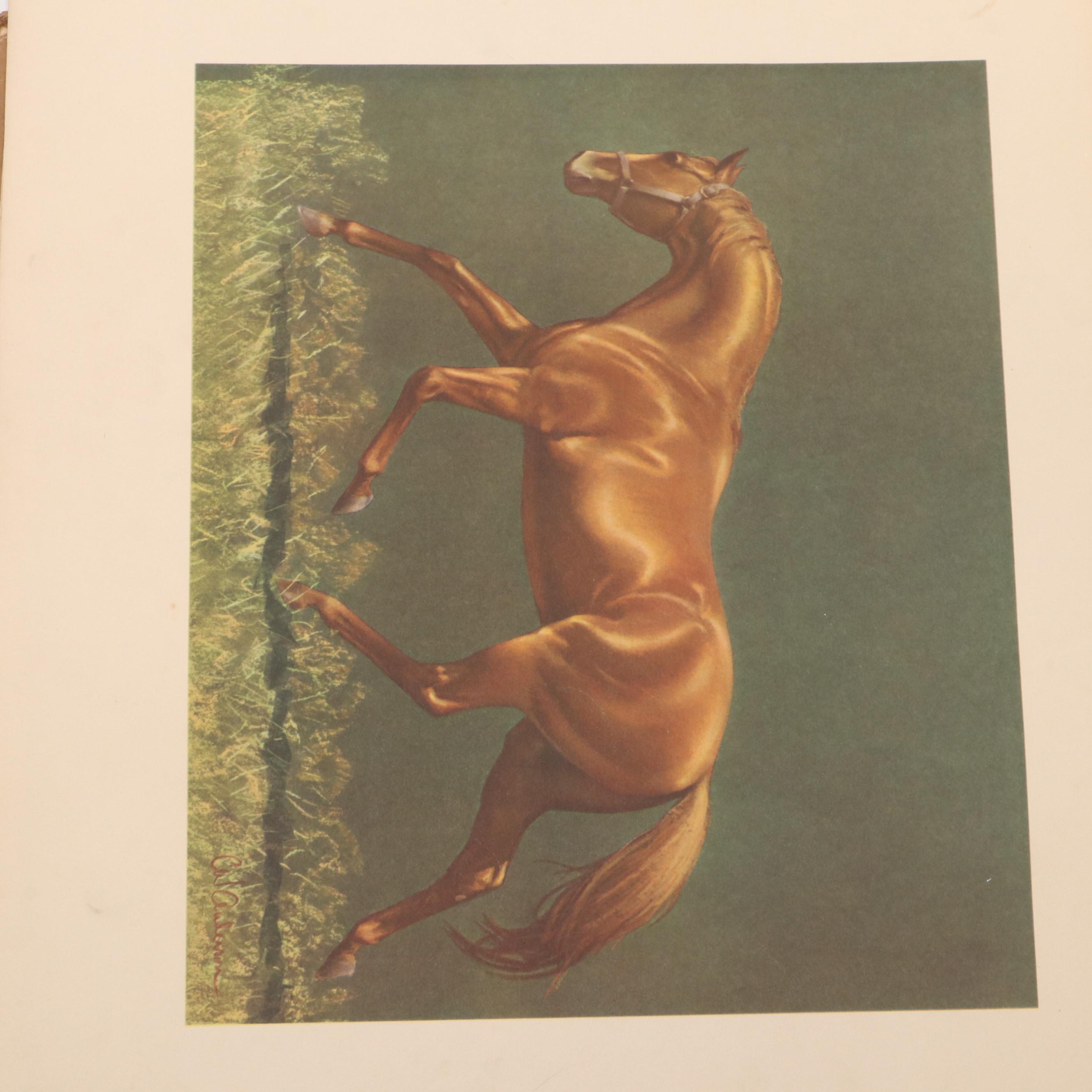 "Grey, Bay and Chestnut" by C. W. Anderson, 1955