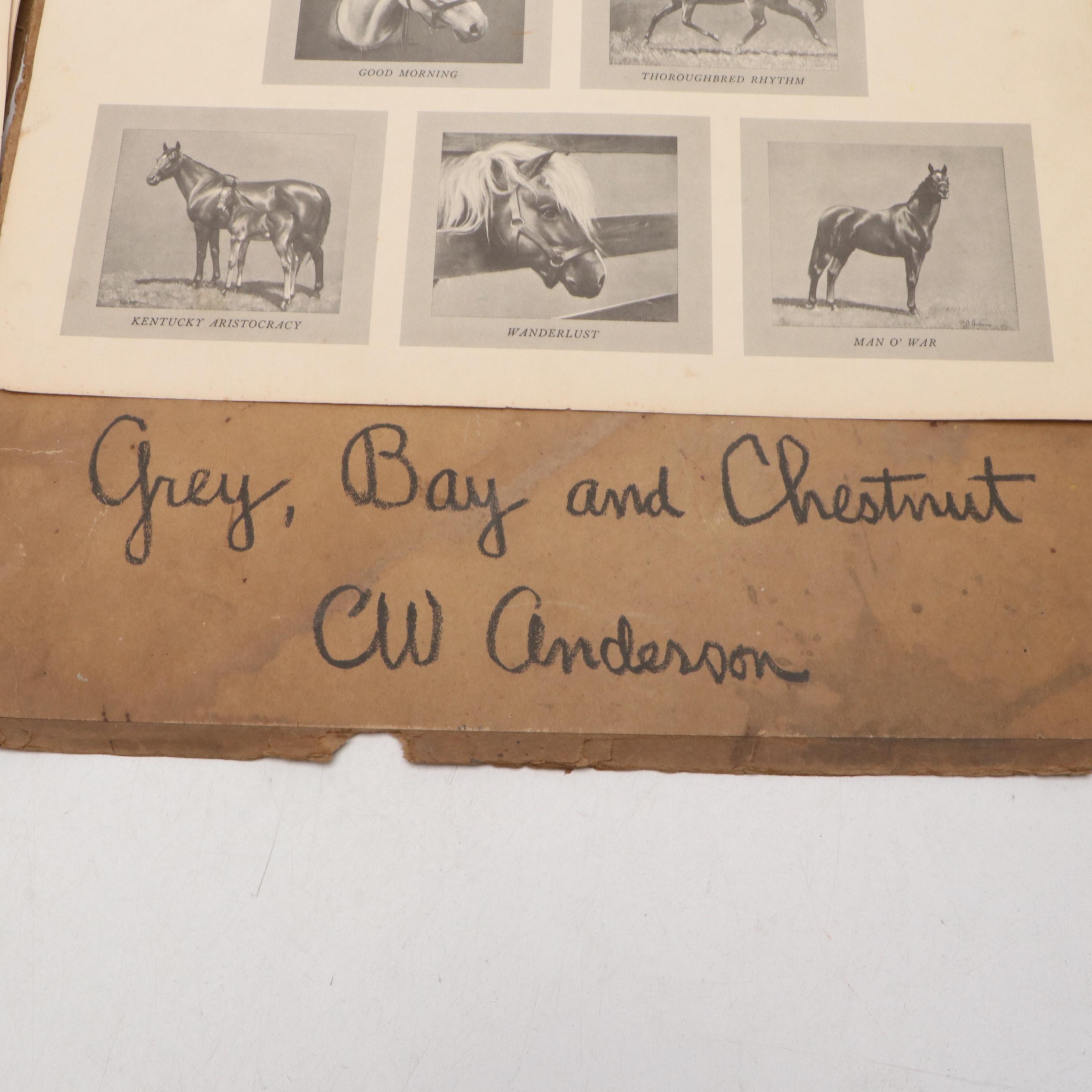"Grey, Bay and Chestnut" by C. W. Anderson, 1955
