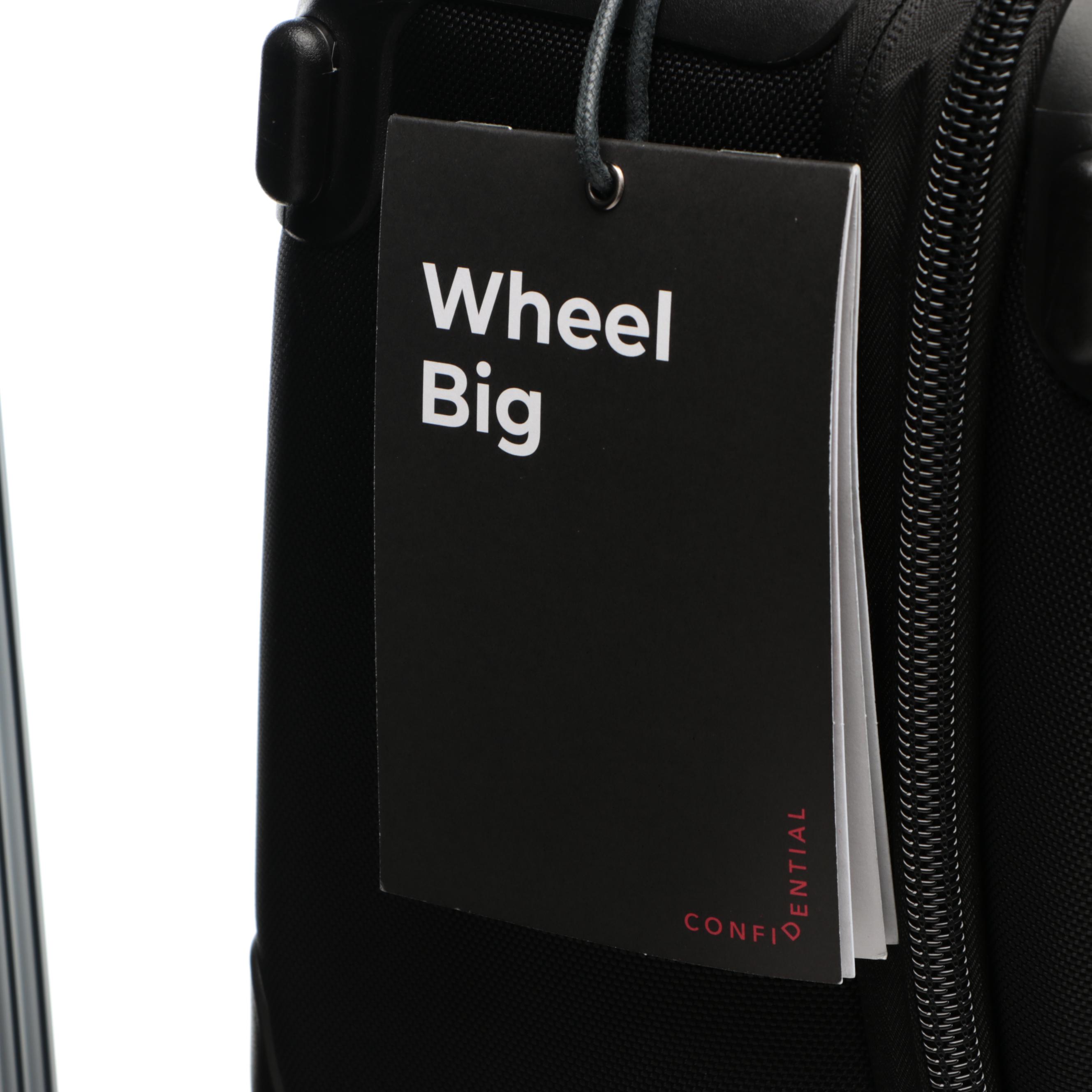 SOTTOS "Wheel Big" Carry-On with Aleon 26" Traveler Suitcase