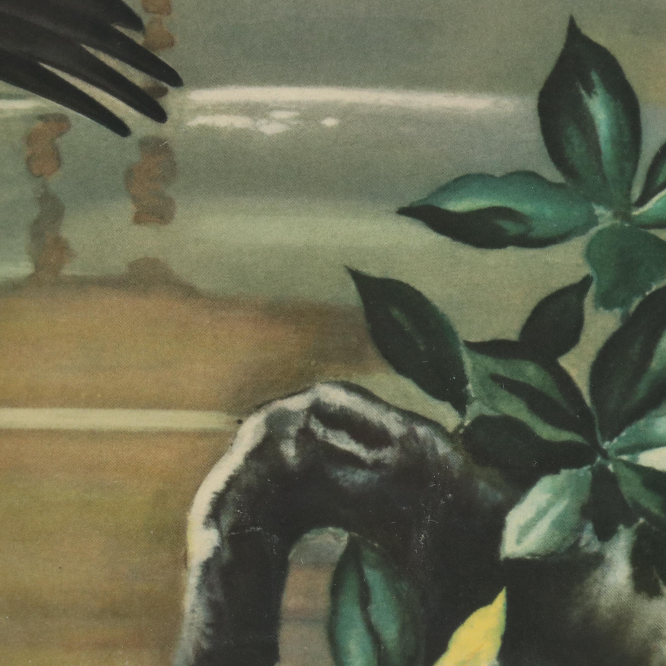 Halftone Print of Flamingos After Roger Tory Peterson, Mid to Late 20th Century