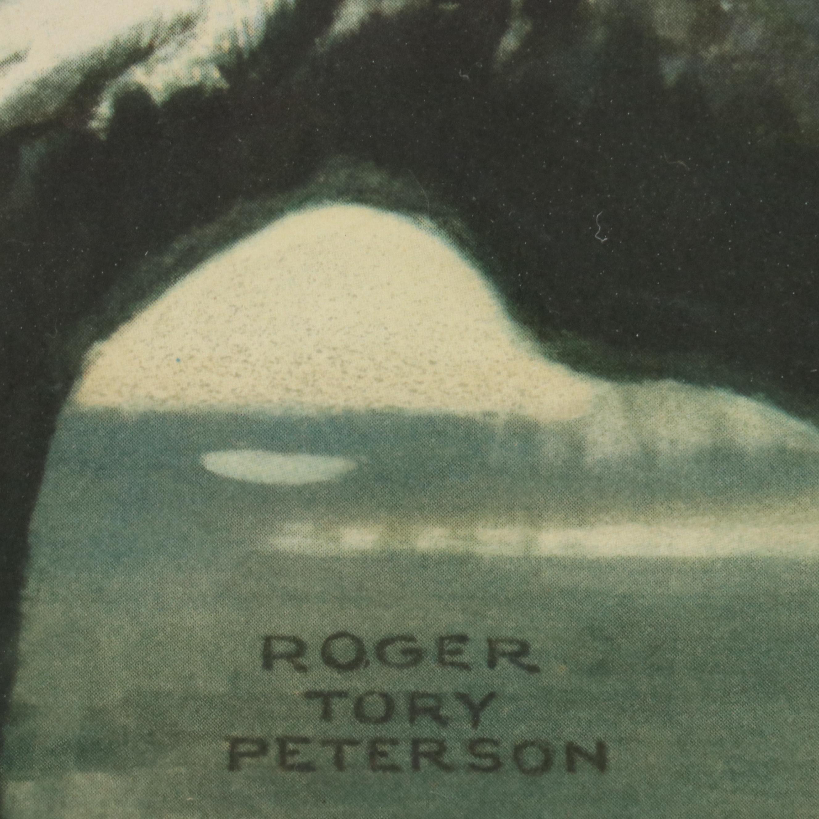 Halftone Print of Flamingos After Roger Tory Peterson, Mid to Late 20th Century