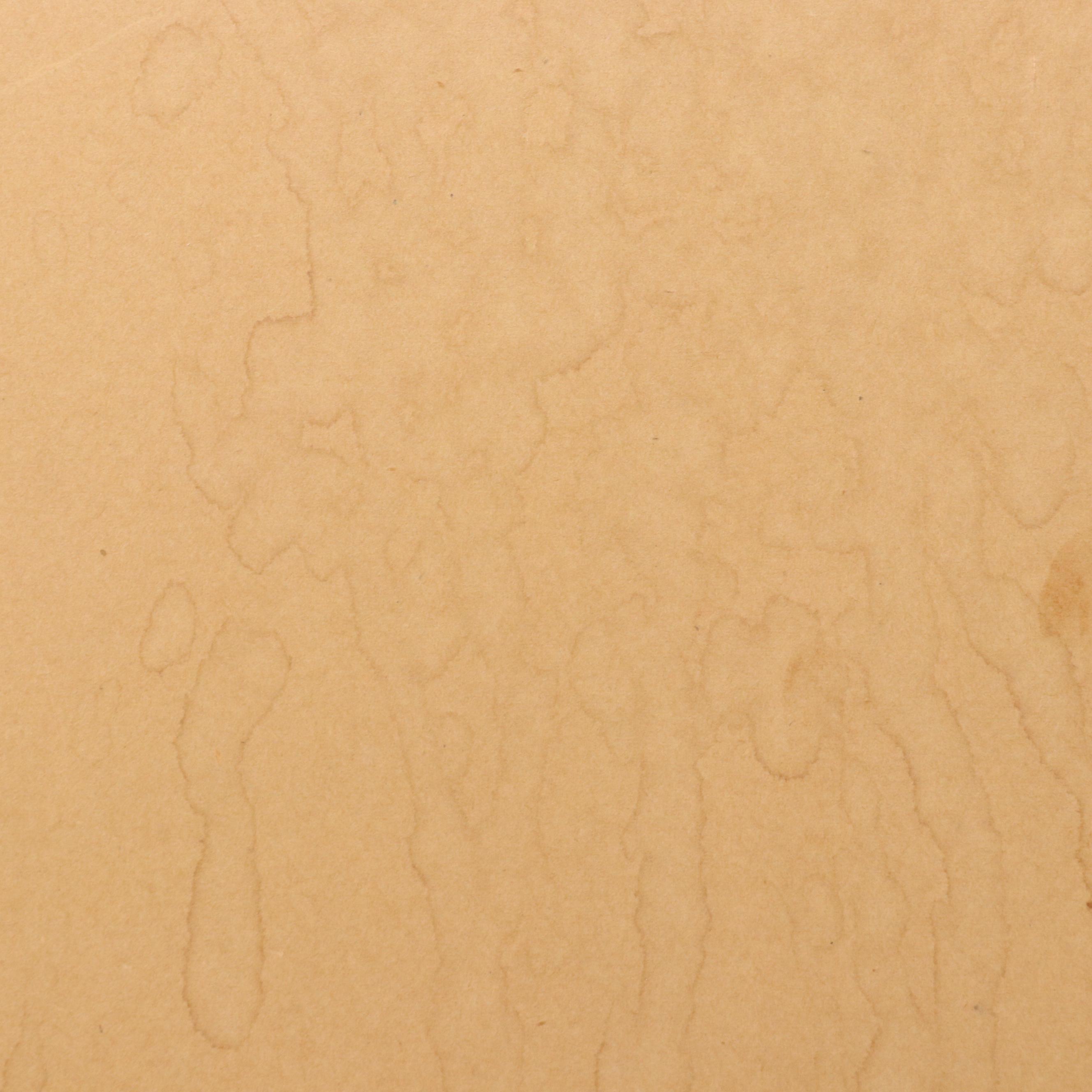 Halftone Print of Flamingos After Roger Tory Peterson, Mid to Late 20th Century