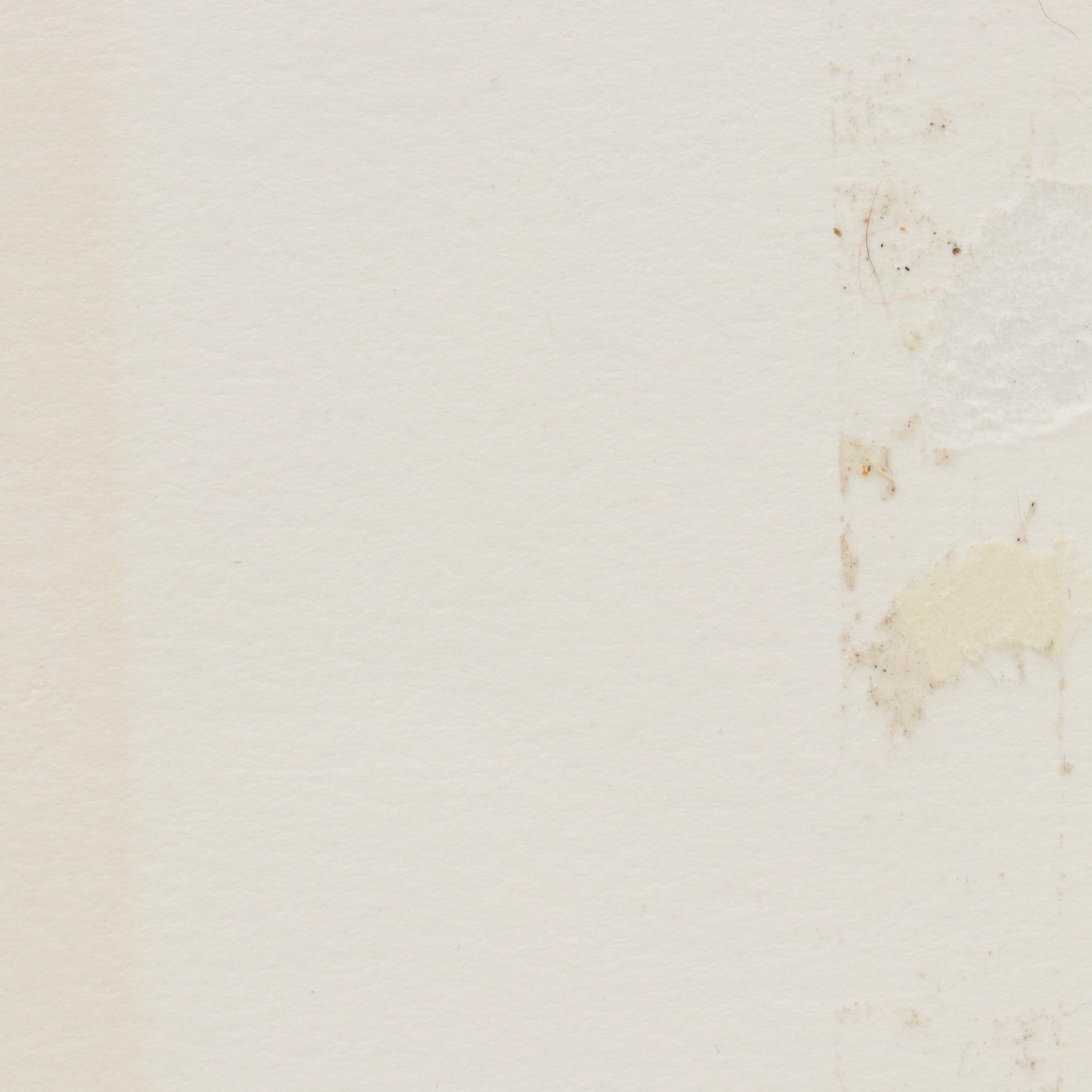 Serigraph of Running Horses "Wilds," 1985