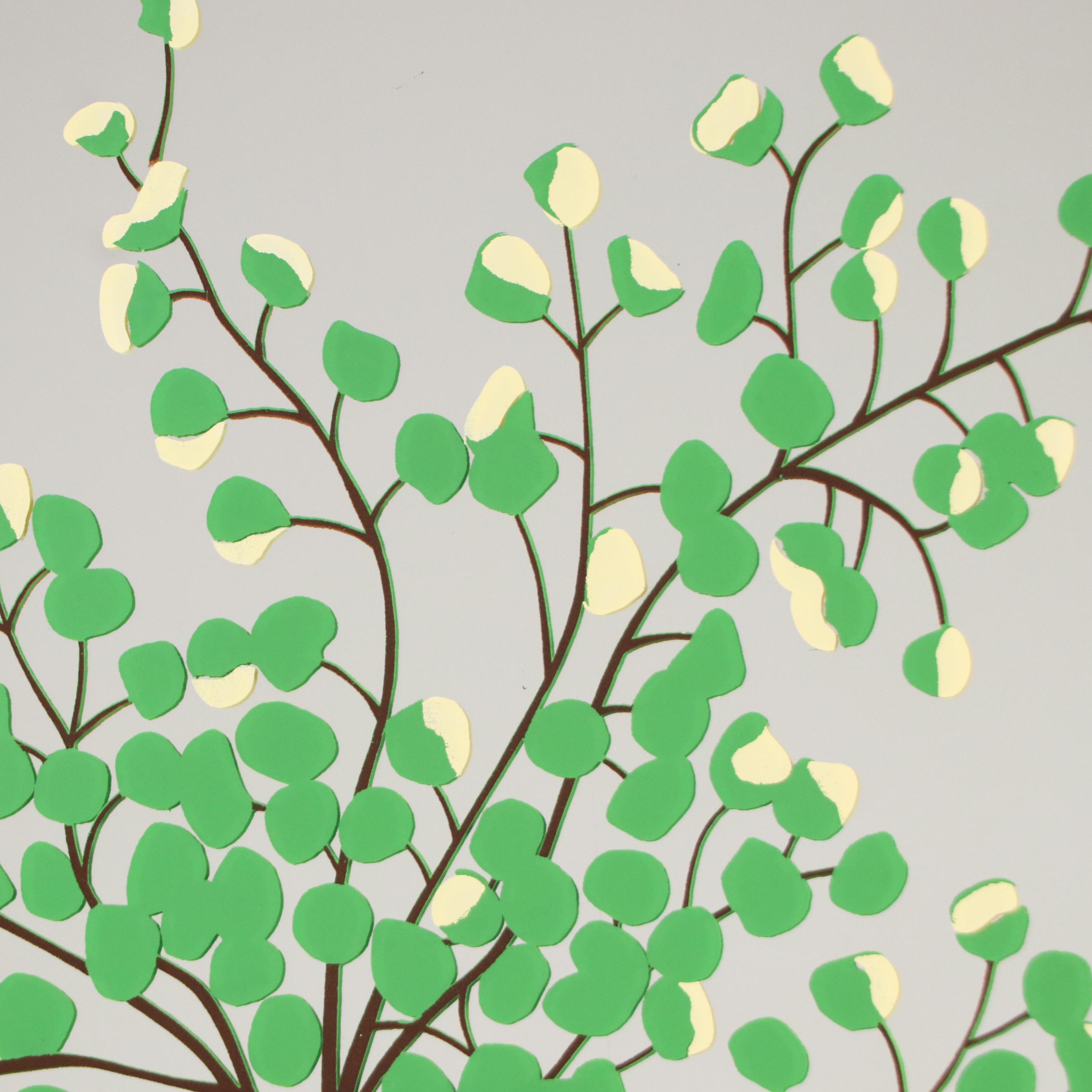 Screenprinted Mirror With Peperomia Plant Motif, Circa 1970