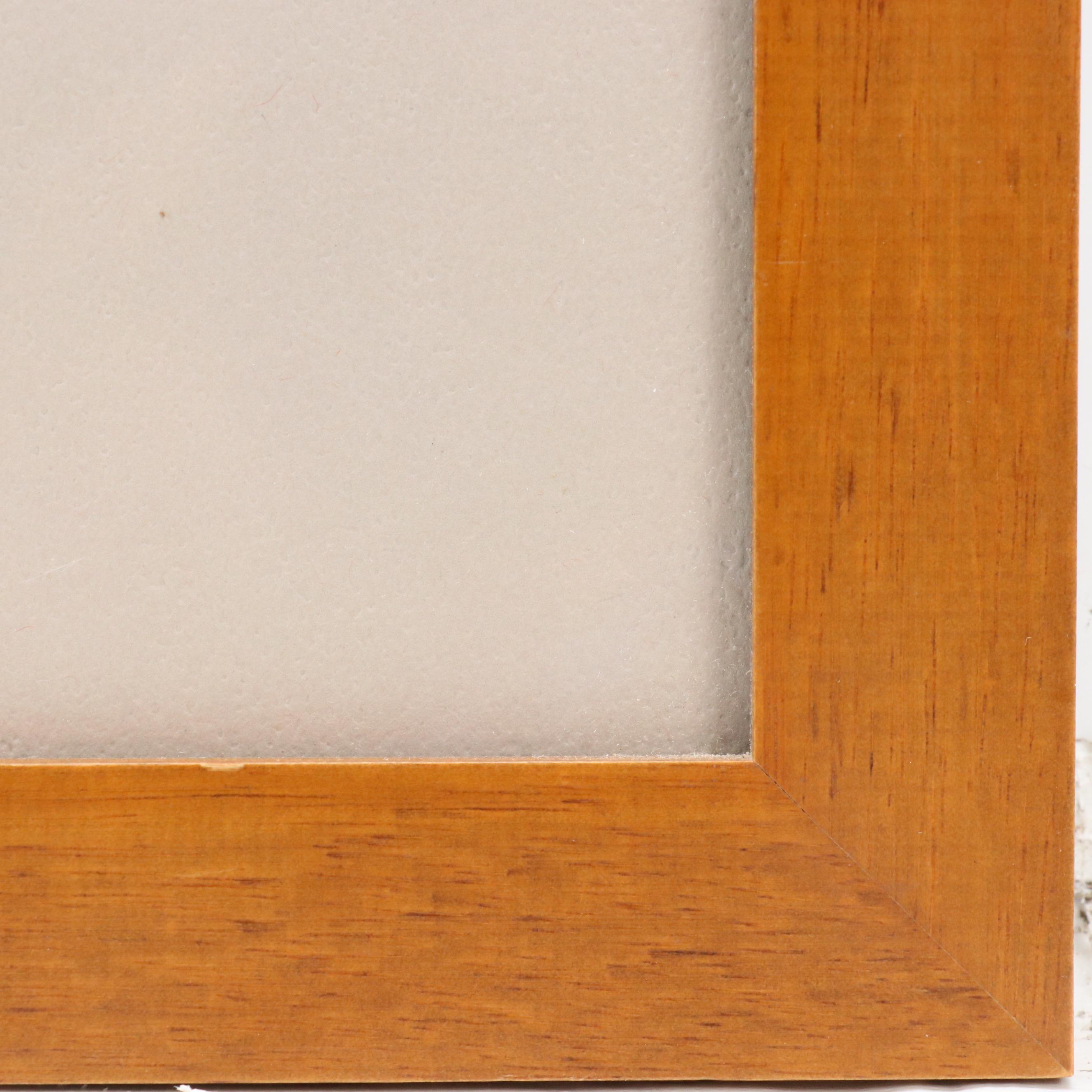 Acrylic Painting of a Cockatiel, 1976