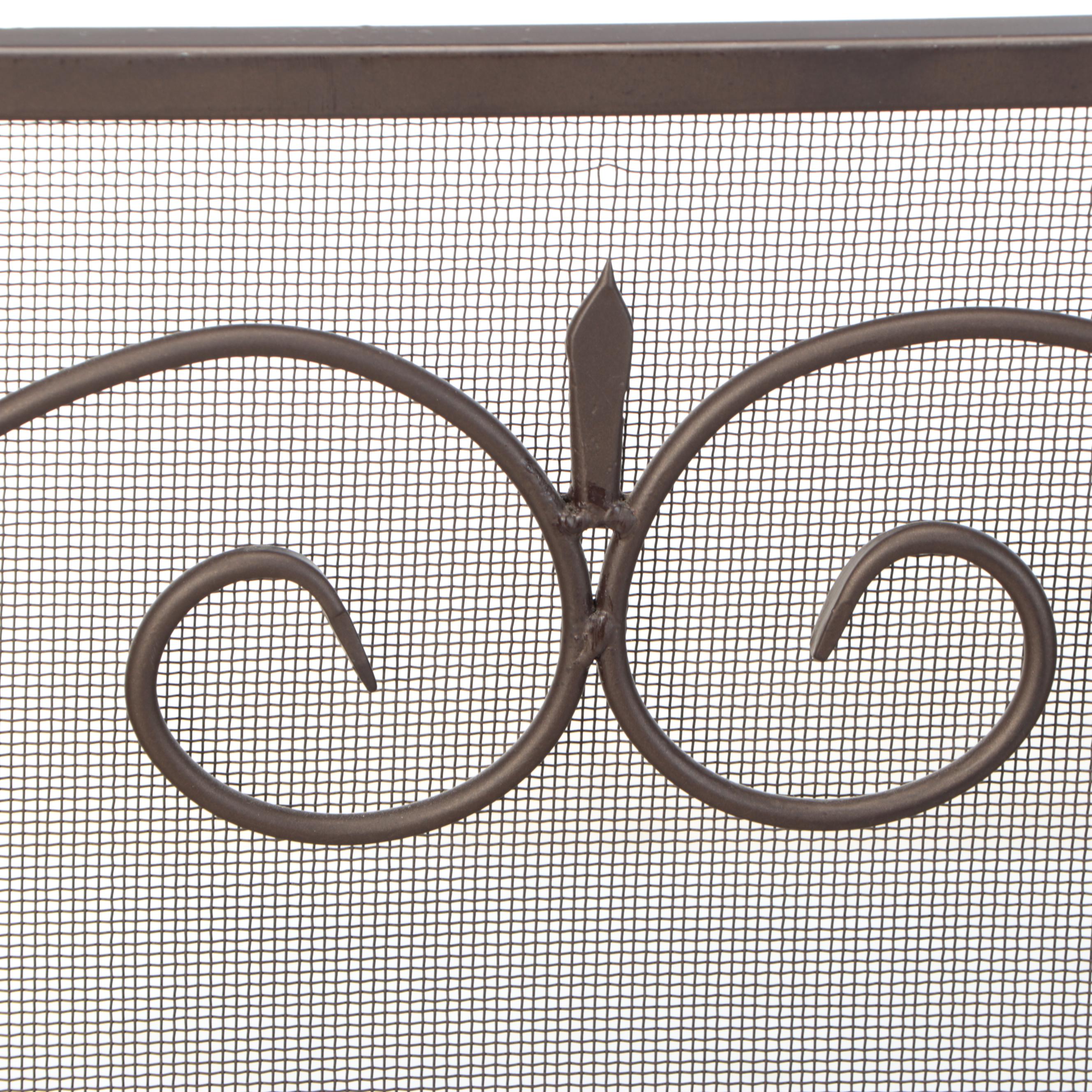 Metal Fireplace Screen and Fireplace Tools