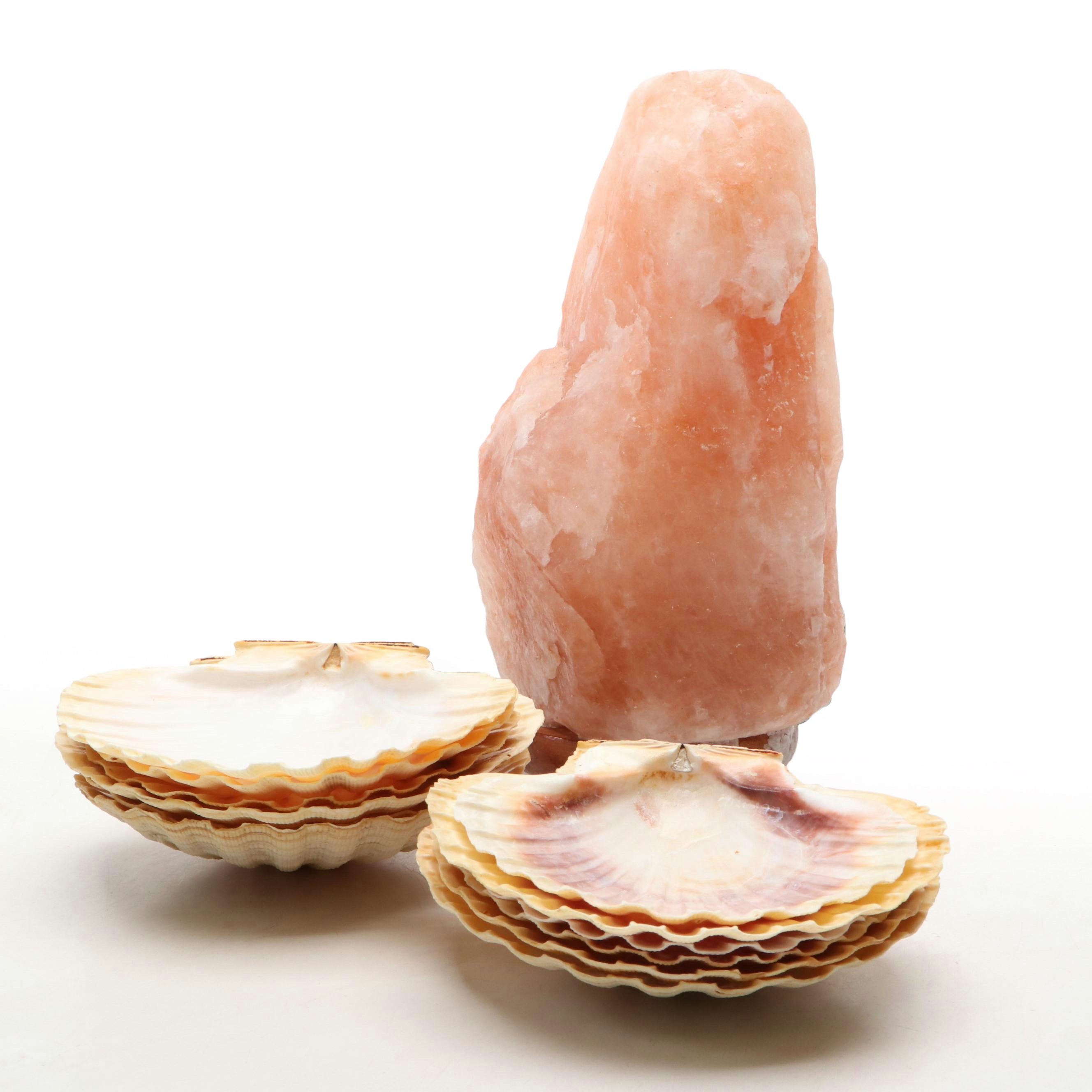 Pink Himalayan Salt Table Lamp with Natural Scallop Shells