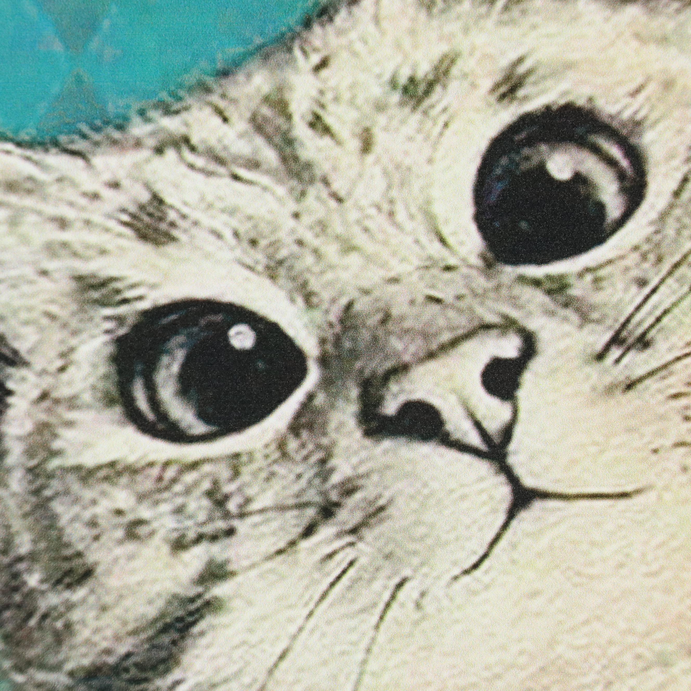 Novelty Cat Giclée "Home is Where the Cats Are"