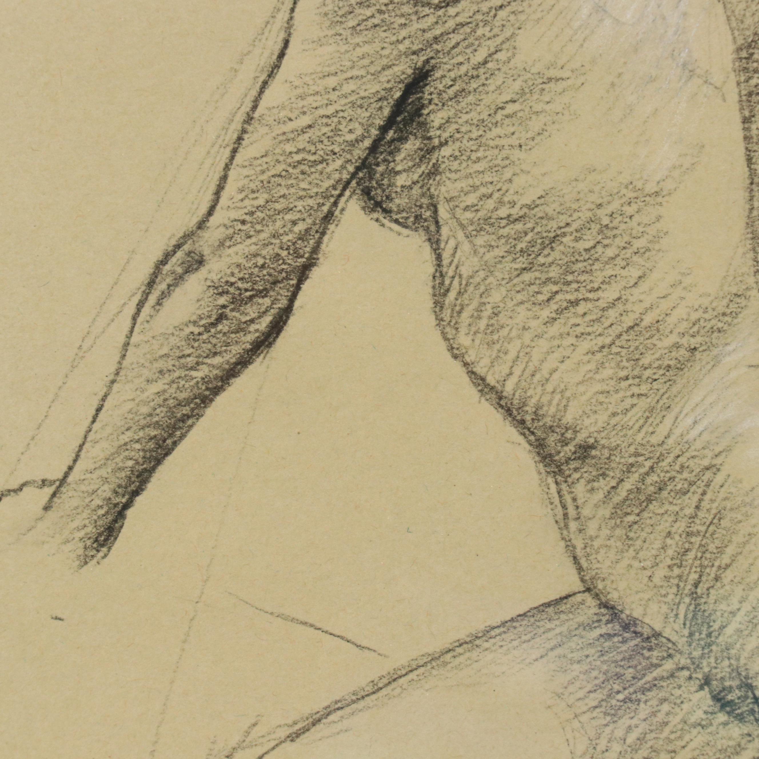 Hardy Charcoal Life Study  Drawing