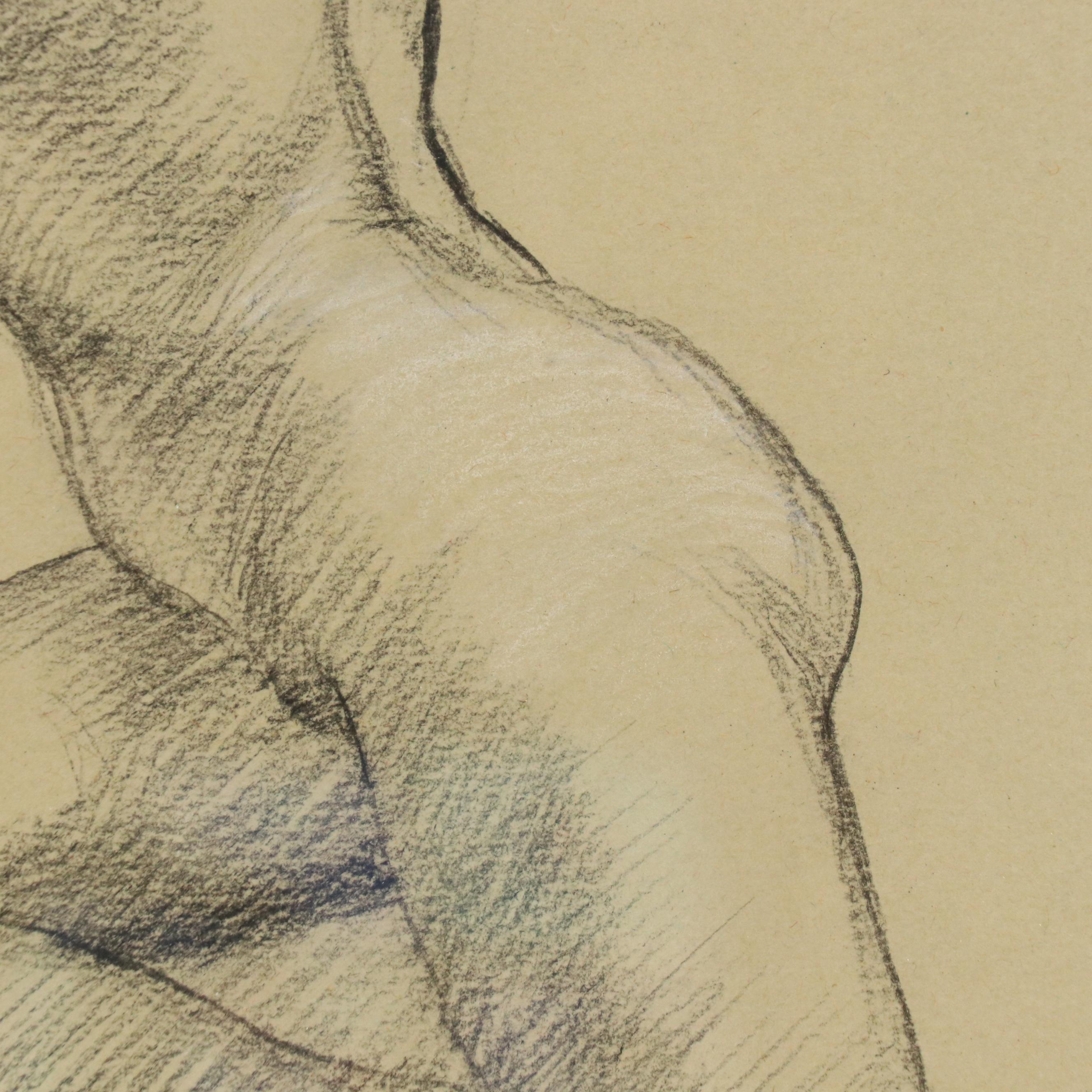 Hardy Charcoal Life Study  Drawing