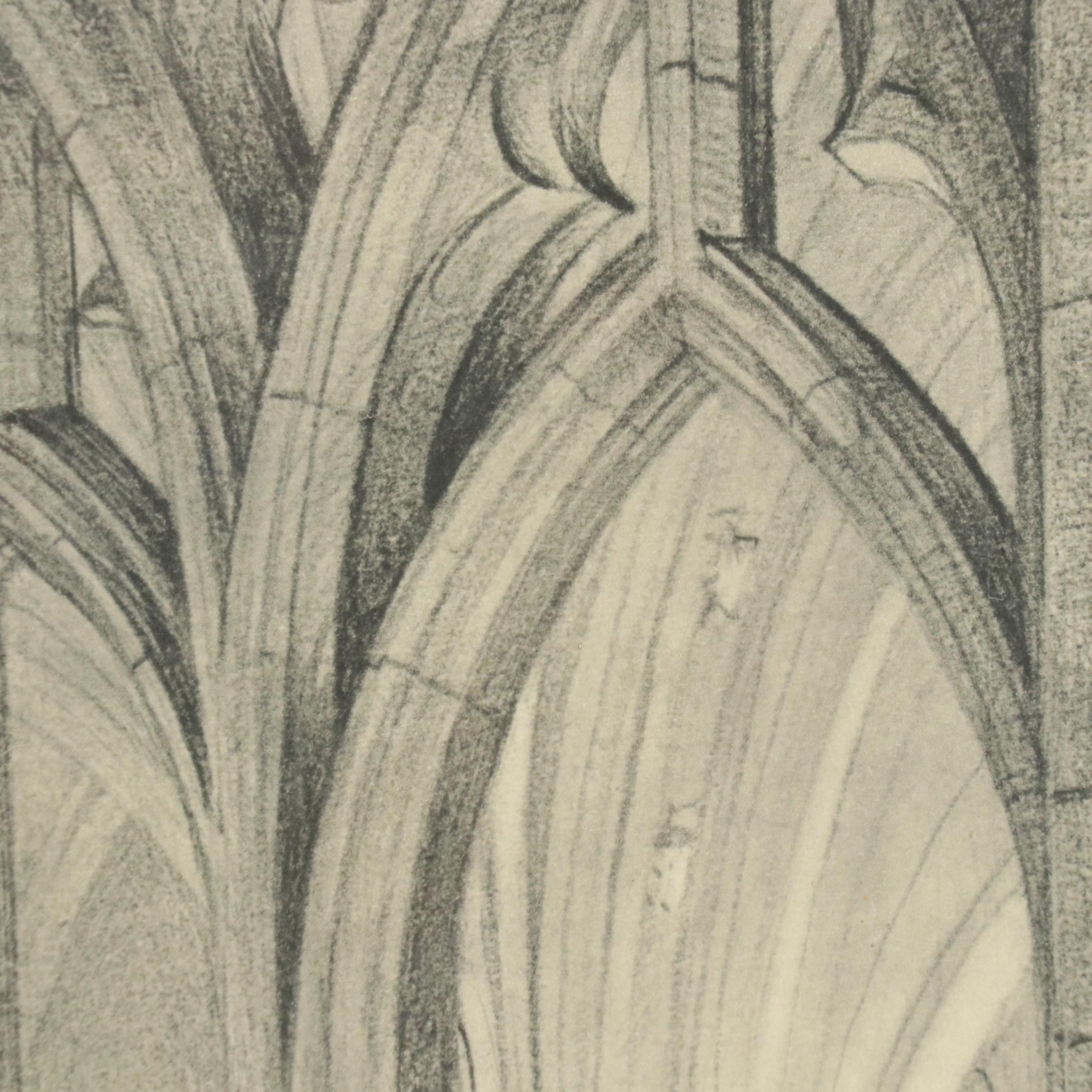 Halftones of Gothic Church Interiors