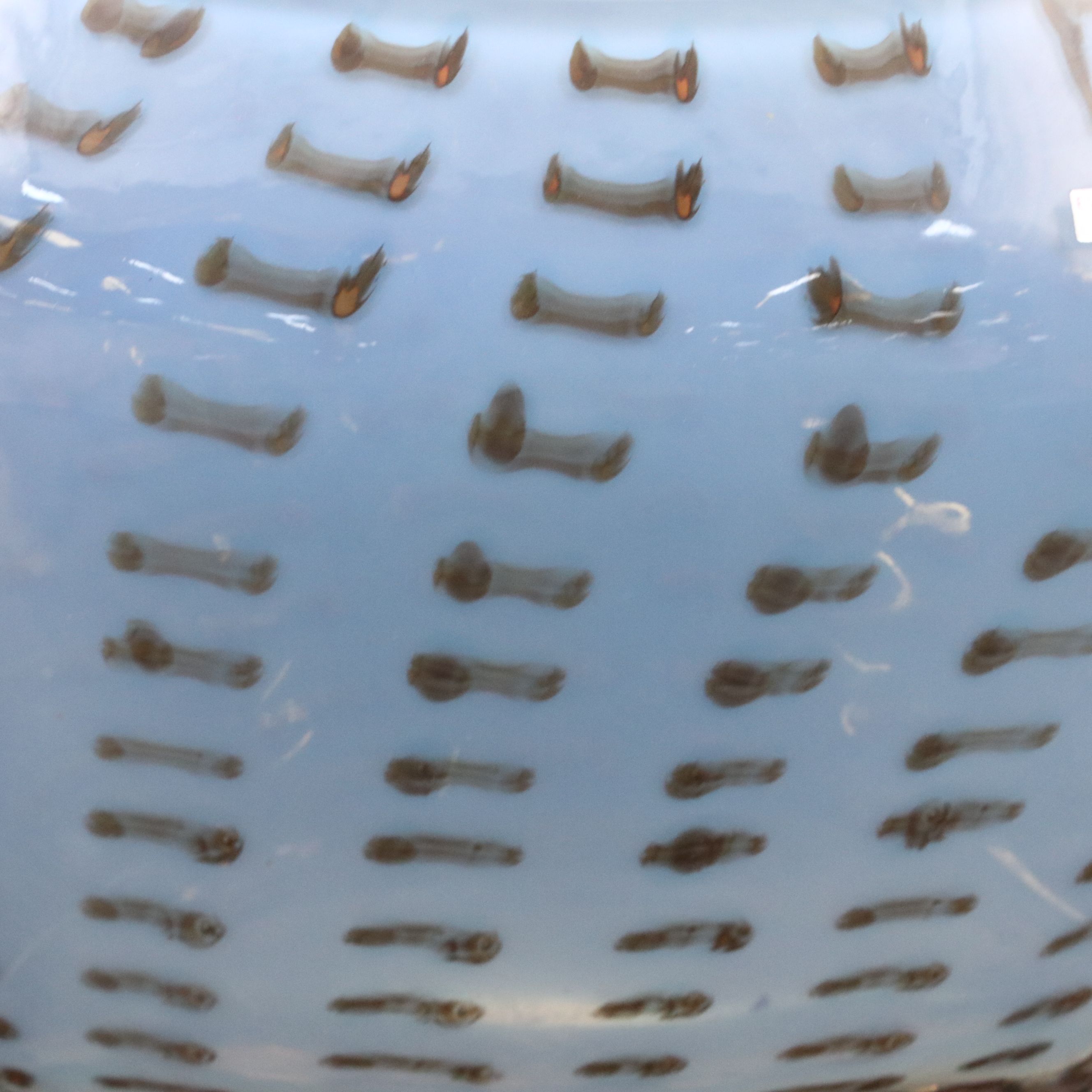 Waterford "Evolution" Crystal Vase