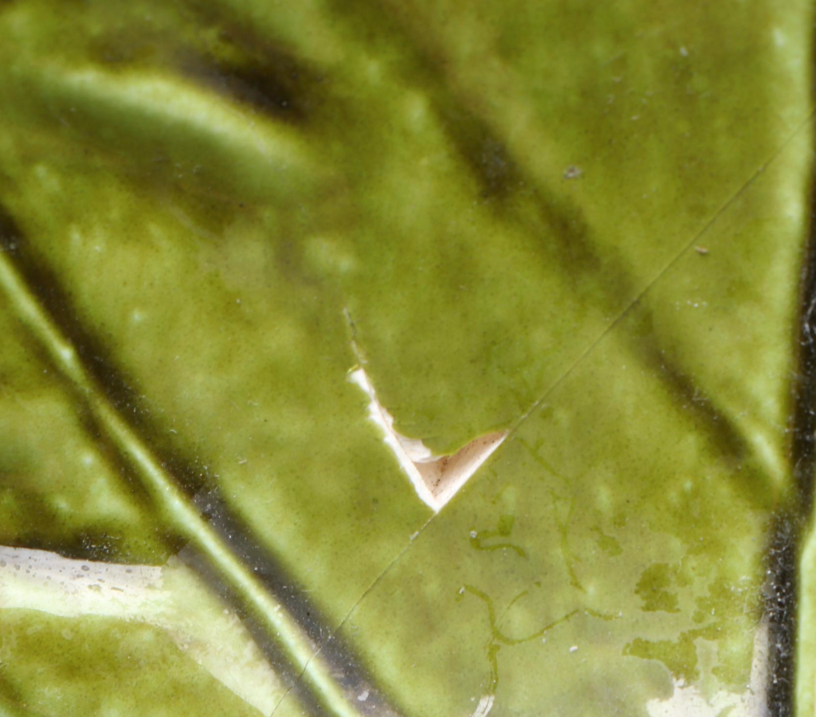 Bordello Pinheiro Large Cabbage Bowl with Majolica Asparagus and Serving Dishes