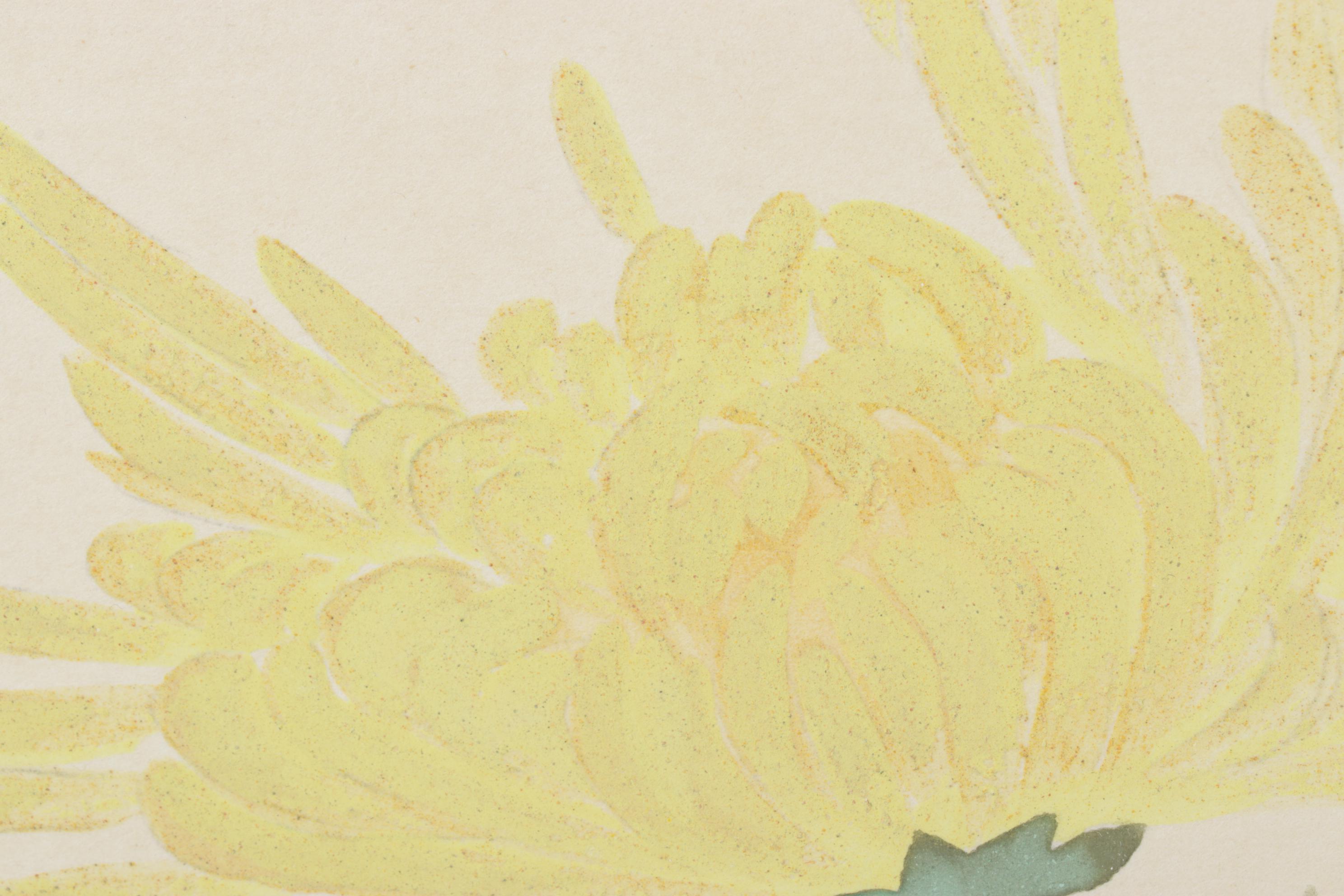 Japanese Gouache & Ink Illustration of Chrysanthemum